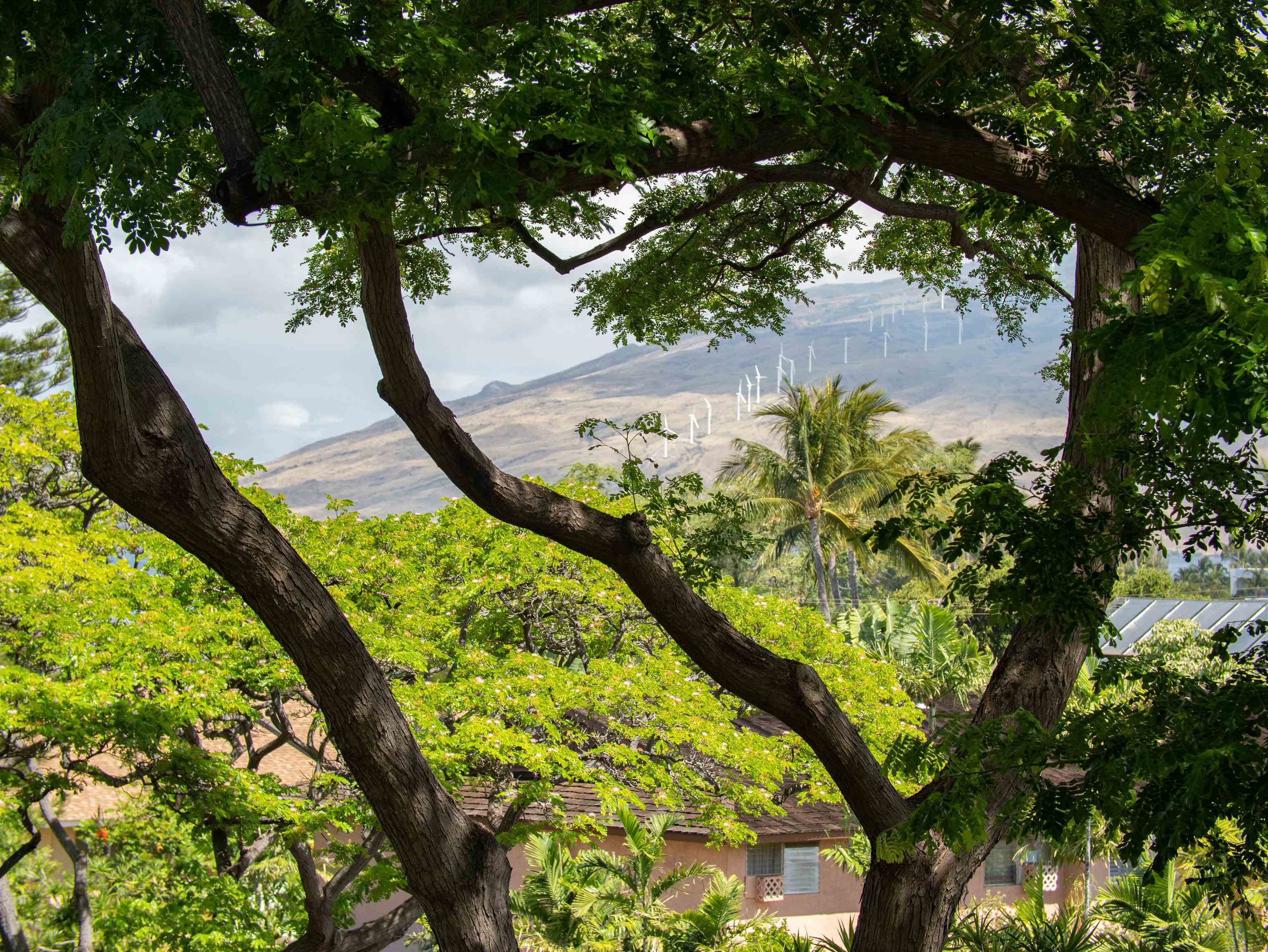 2191 S Kihei Rd Property Photo 5