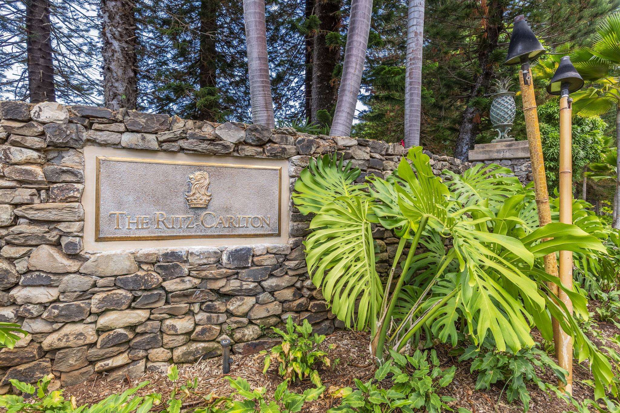 1 Ritz Carlton Dr Property Photo 31