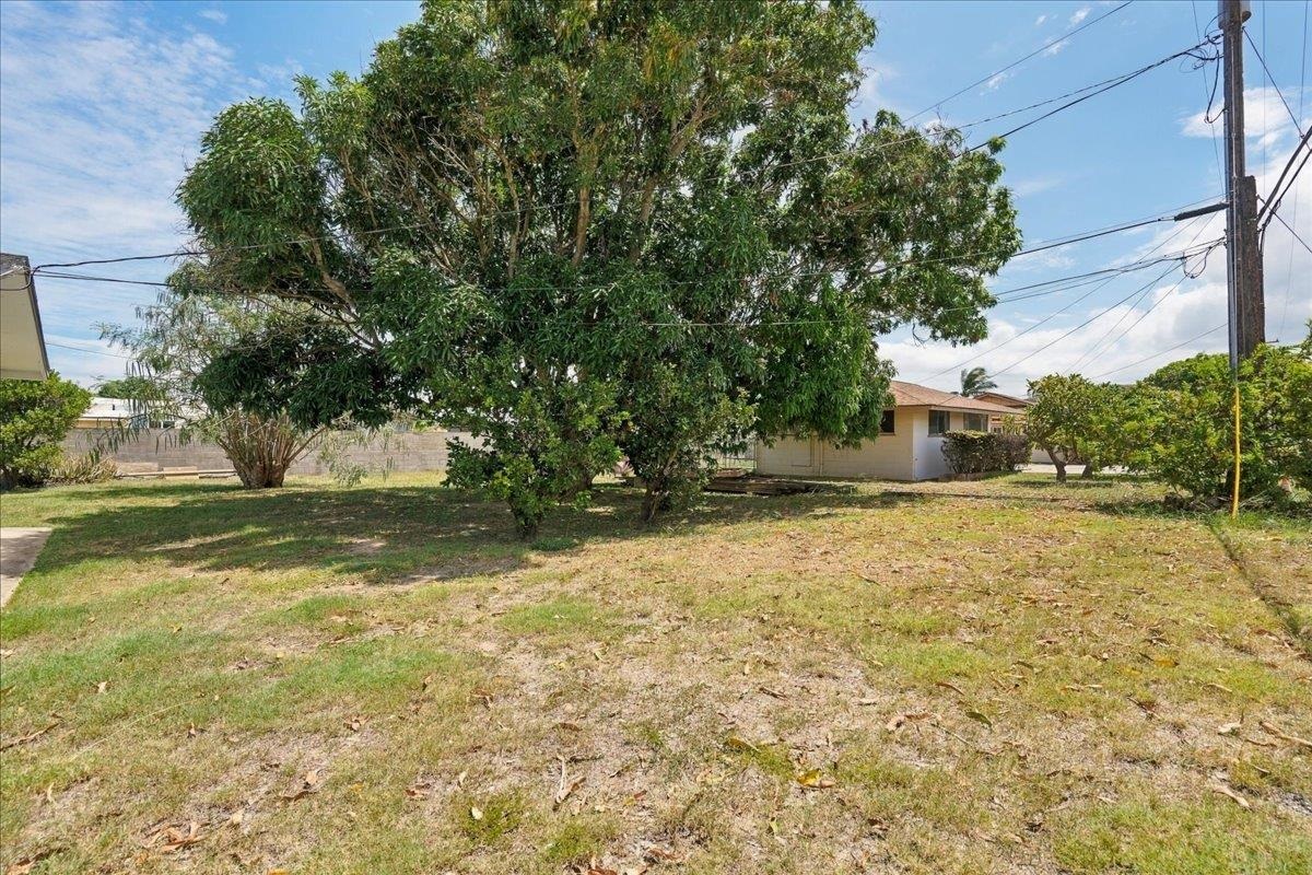 461 Lono Ave Property Photo 19