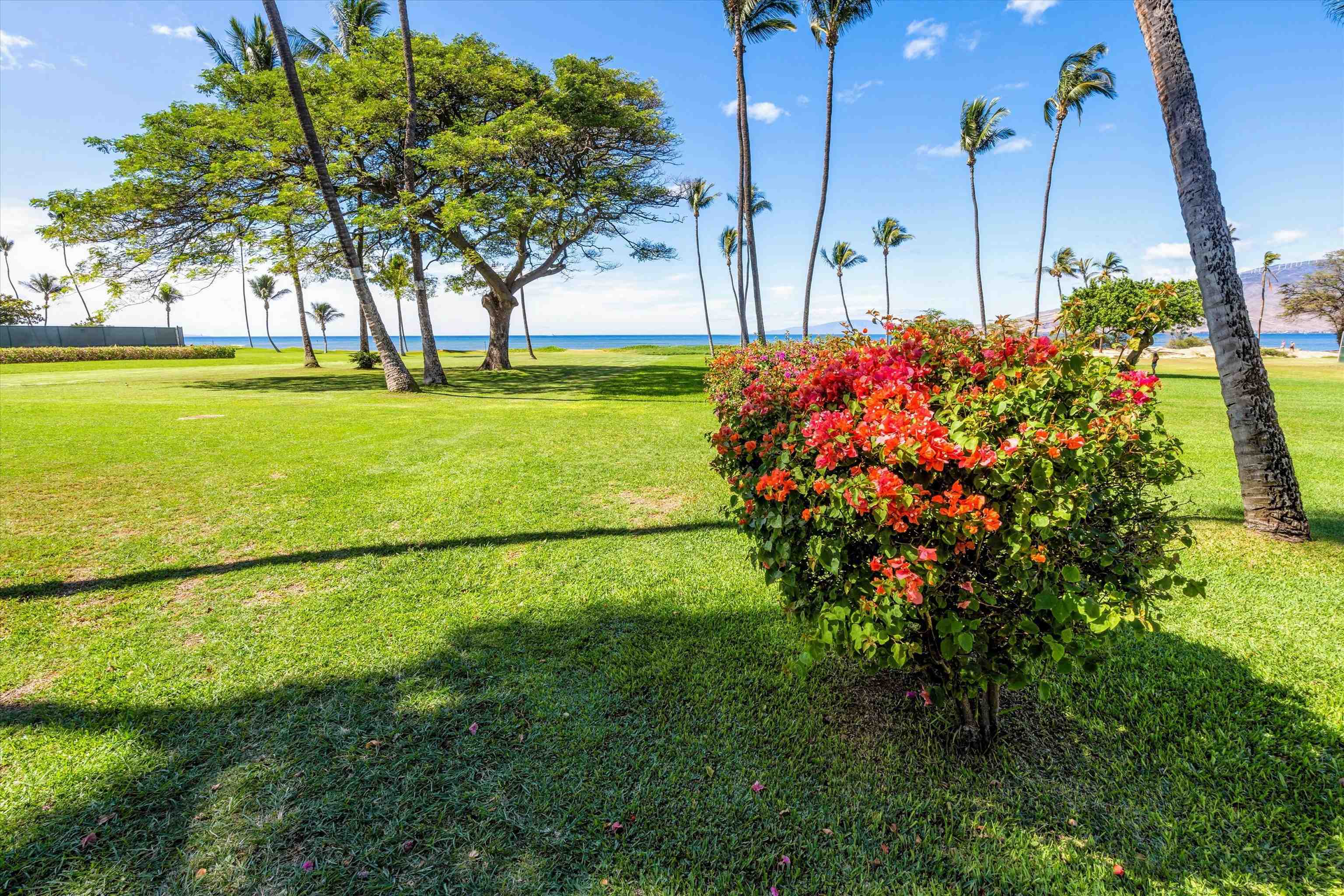 998 S Kihei Rd Property Photo 40