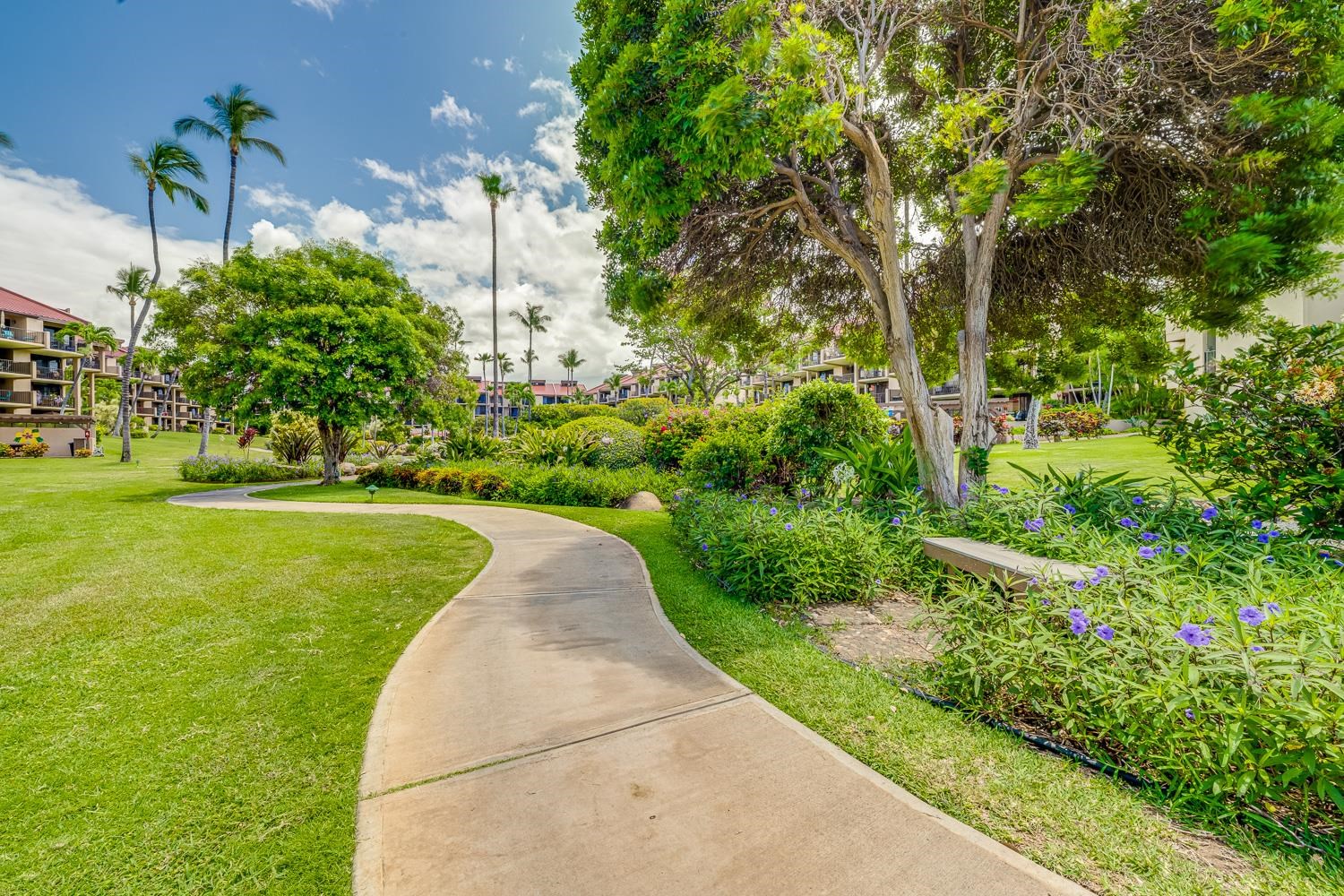 2695 S Kihei Rd Property Photo 29