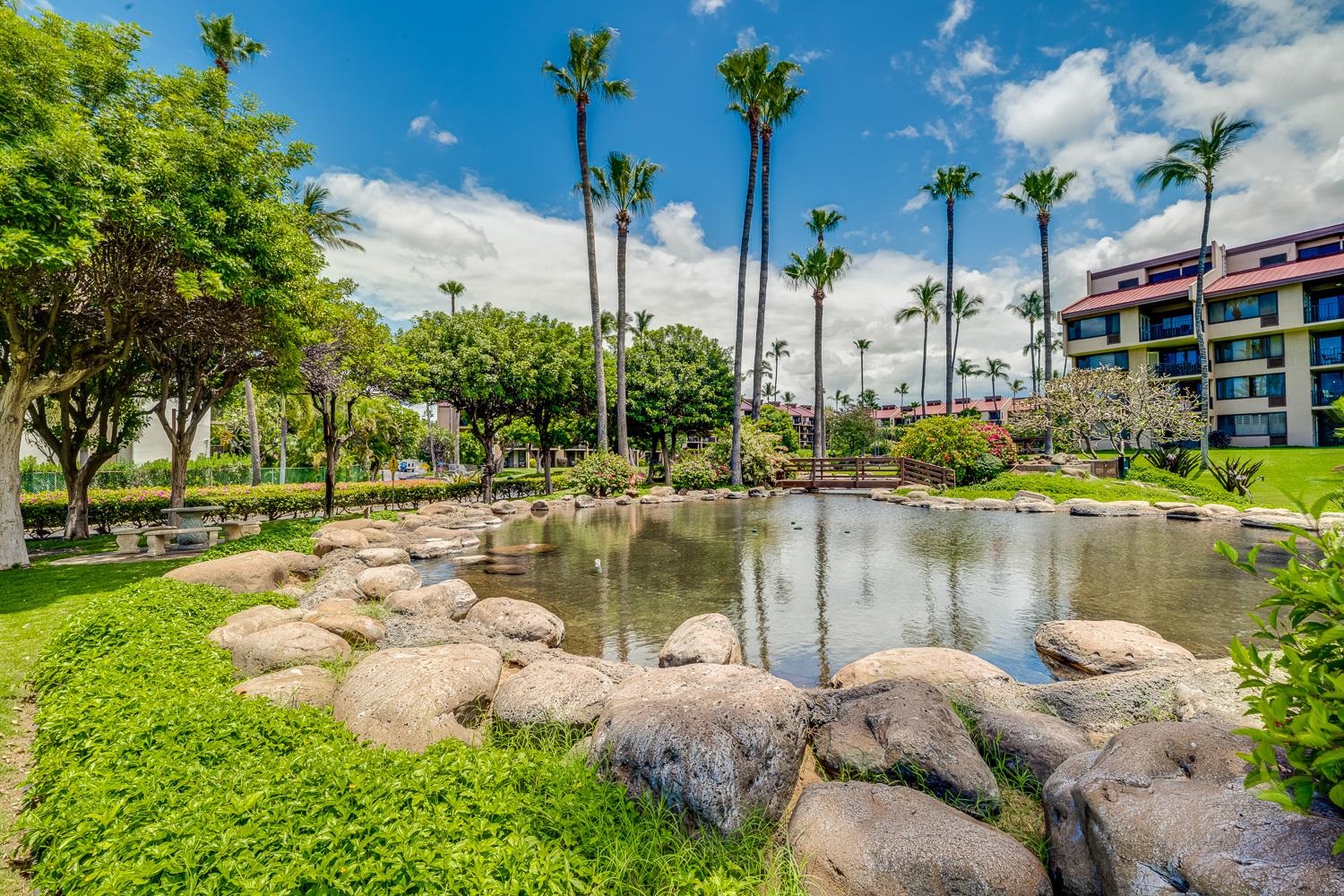 2695 S Kihei Rd Property Photo 43