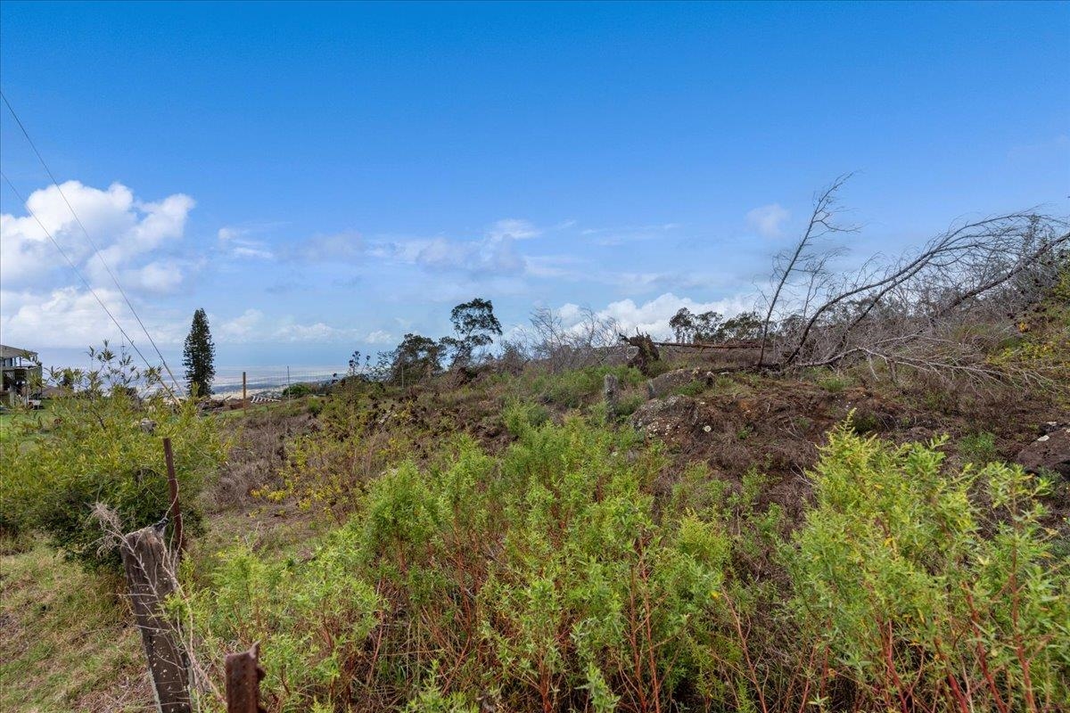 0 Kamehameiki Rd Property Photo 19