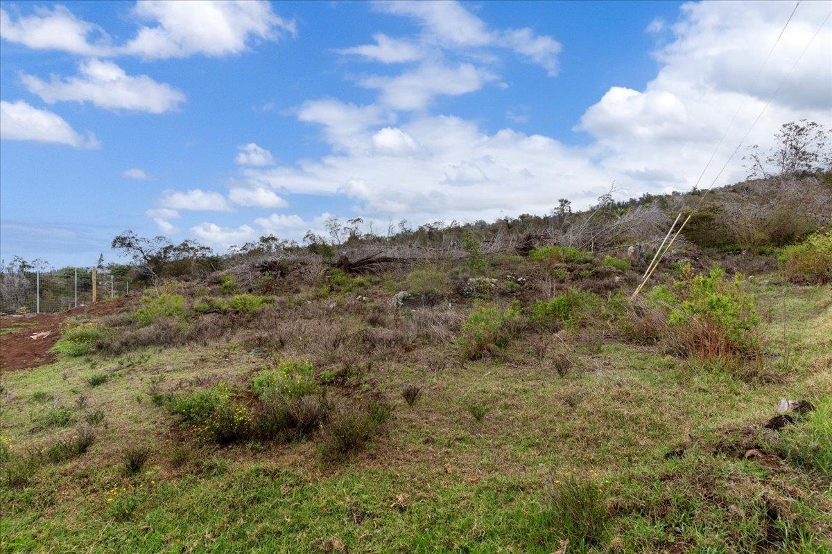 0 Kamehameiki Rd Property Photo 24
