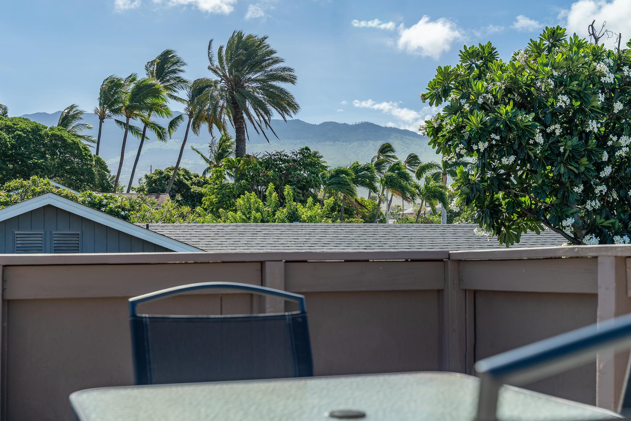 109 Miha Pl Property Photo 42