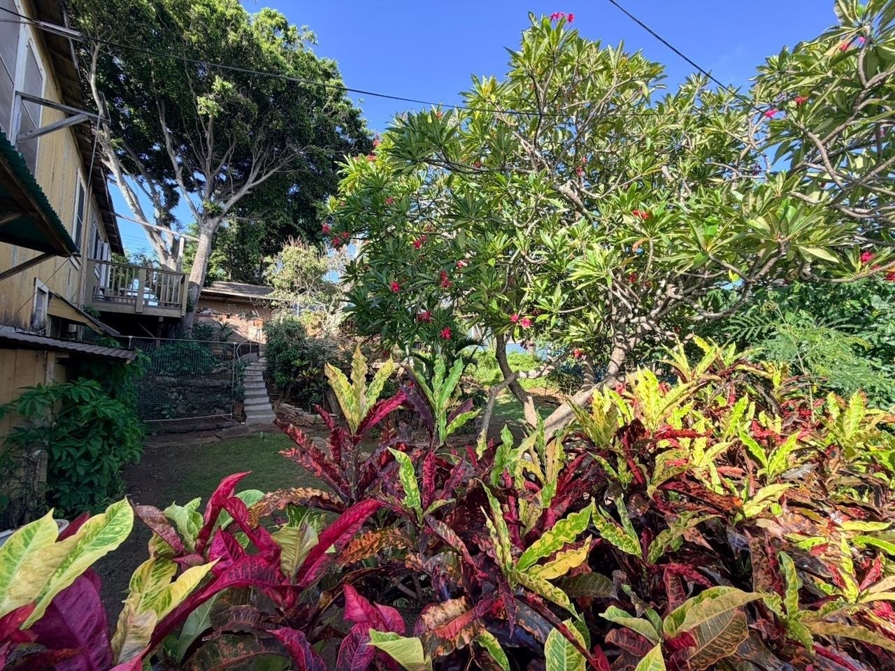 50 Baldwin Ave Property Photo 4
