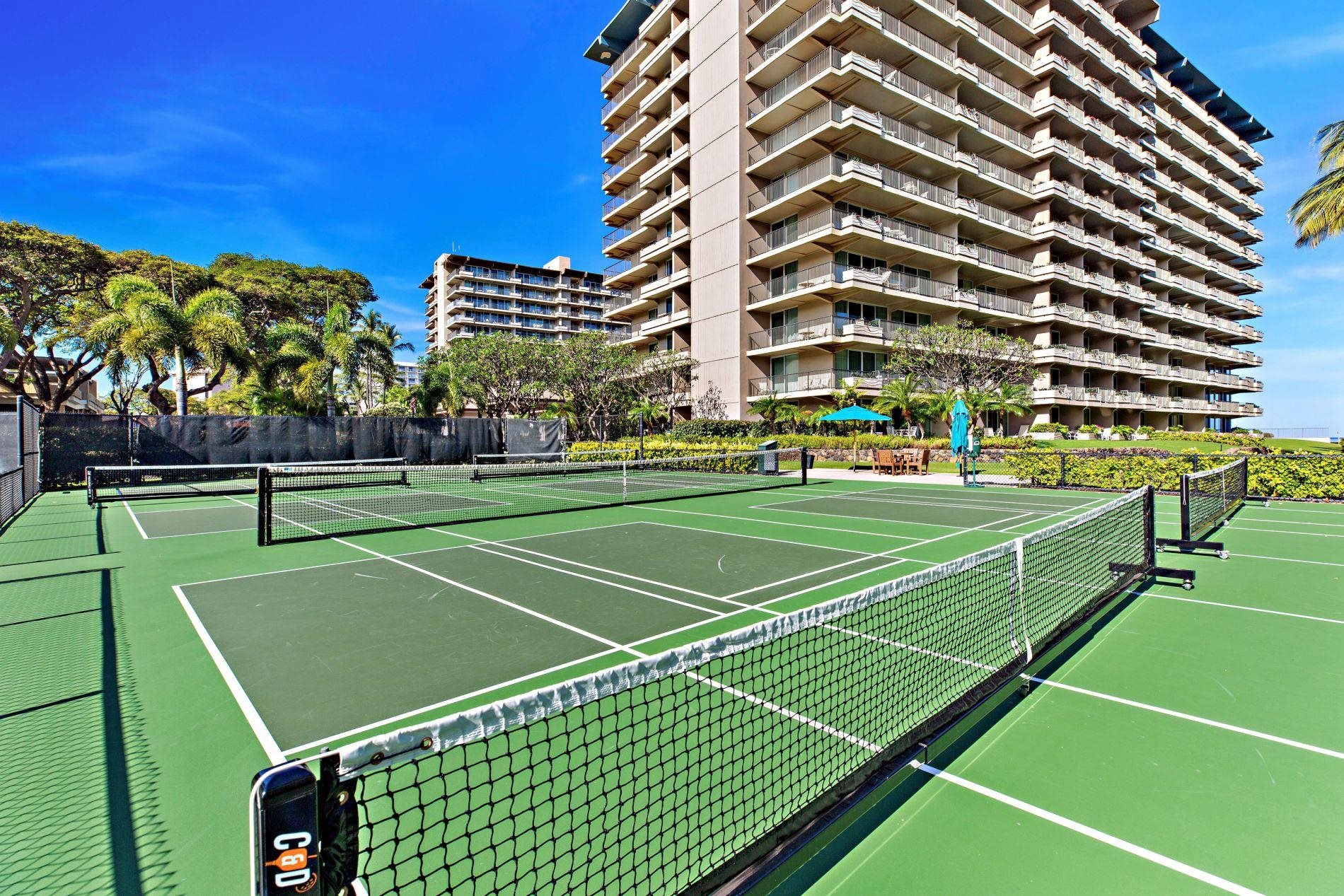 2481 Kaanapali Pkwy Property Photo 16
