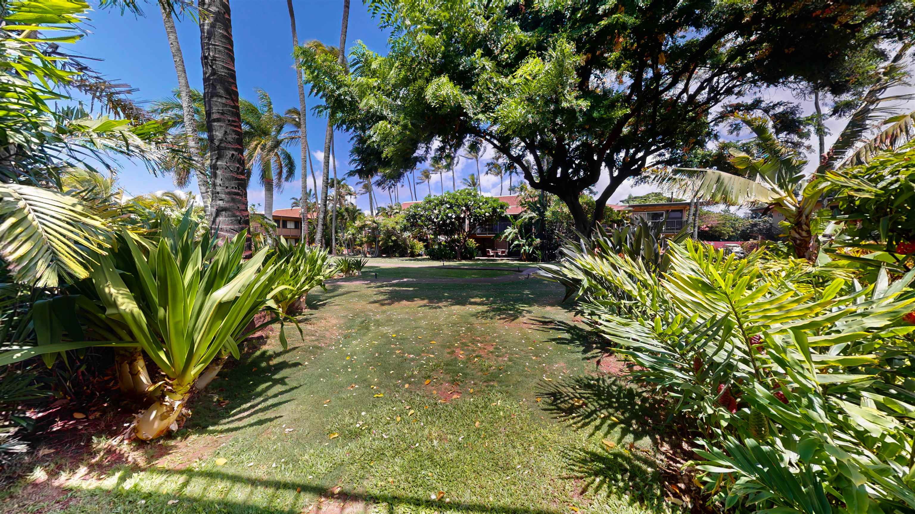 3559 Lower Honoapiilani Rd Property Photo 11