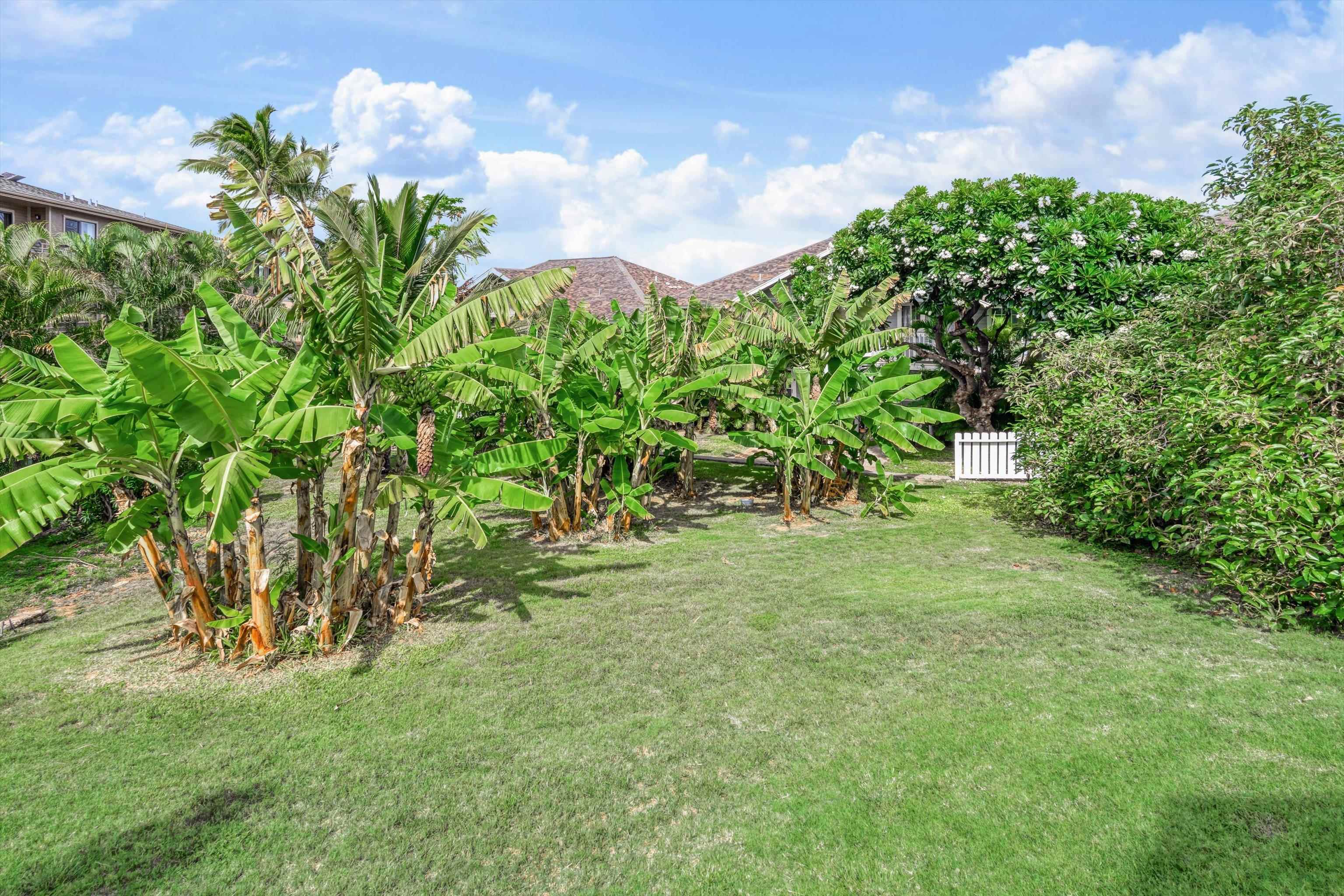 160 Keonekai Rd Property Photo 30