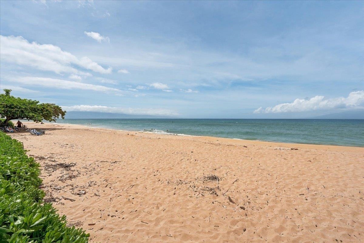 3445 Lower Honoapiilani Rd Property Photo 27