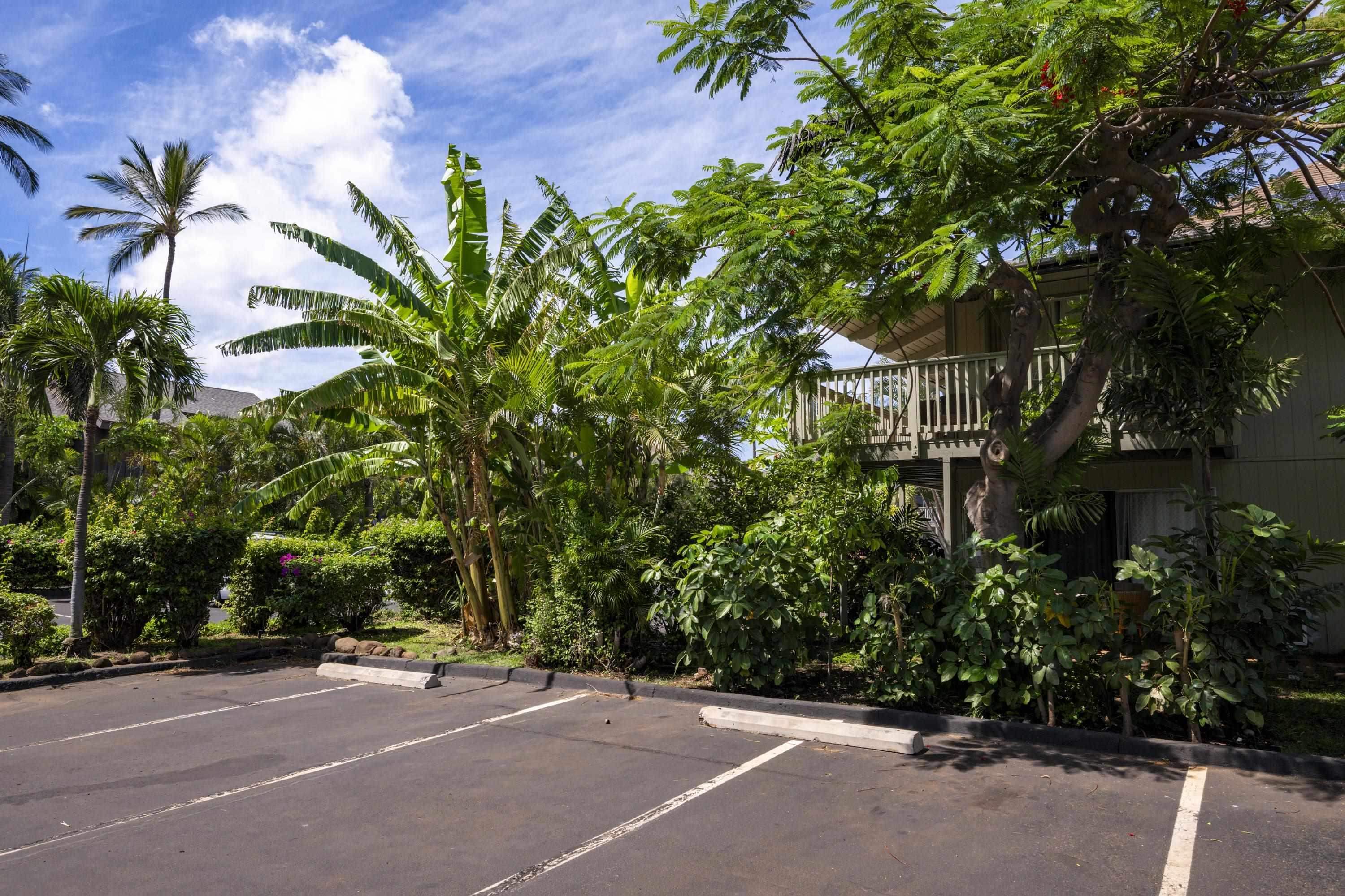 715 S Kihei Rd Property Photo 20
