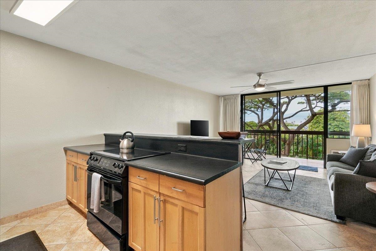2191 S Kihei Rd Property Photo 13