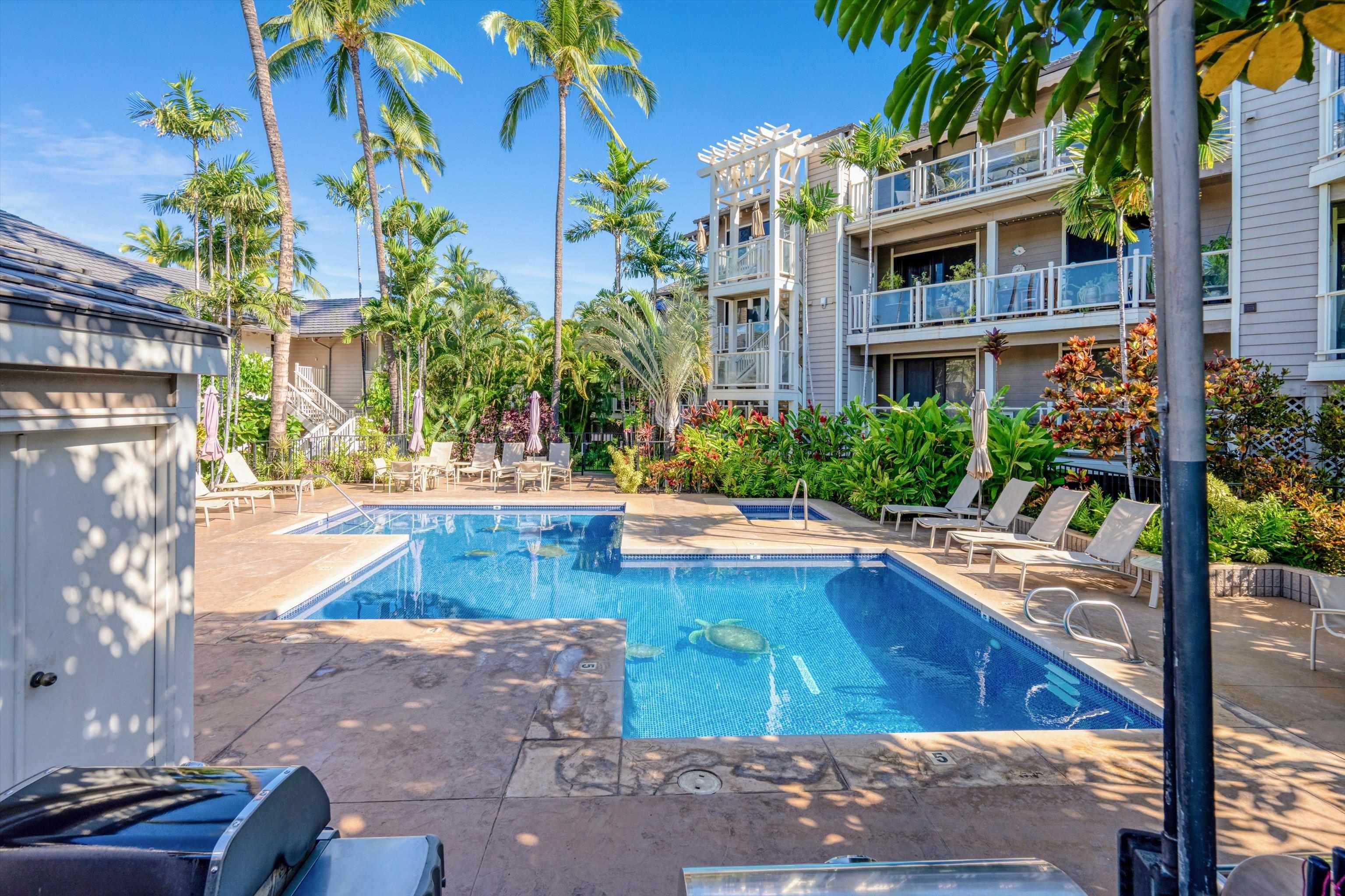 155 Wailea Ike Pl Property Photo 34