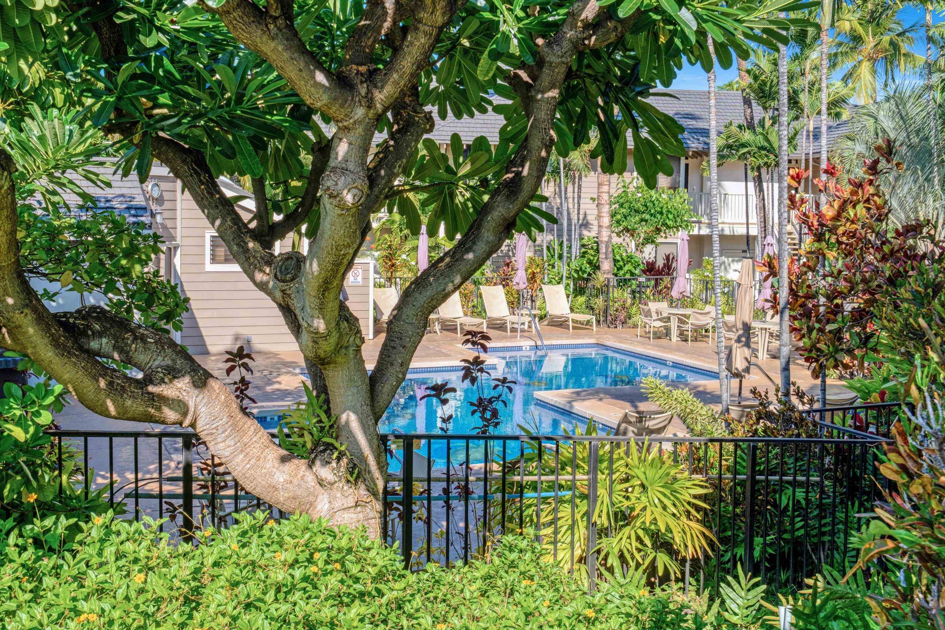 155 Wailea Ike Pl Property Photo 35