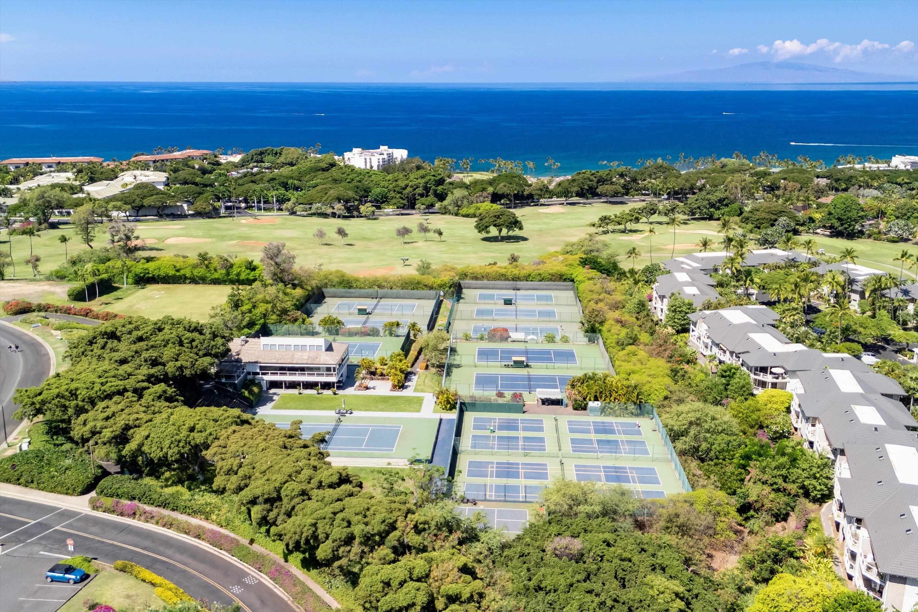 155 Wailea Ike Pl Property Photo 43