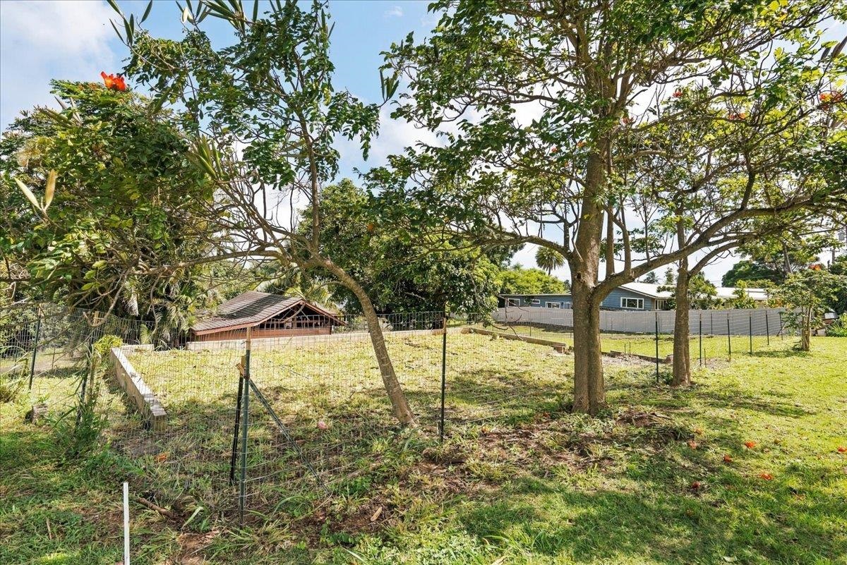 2895 Hana Hwy Property Photo 19