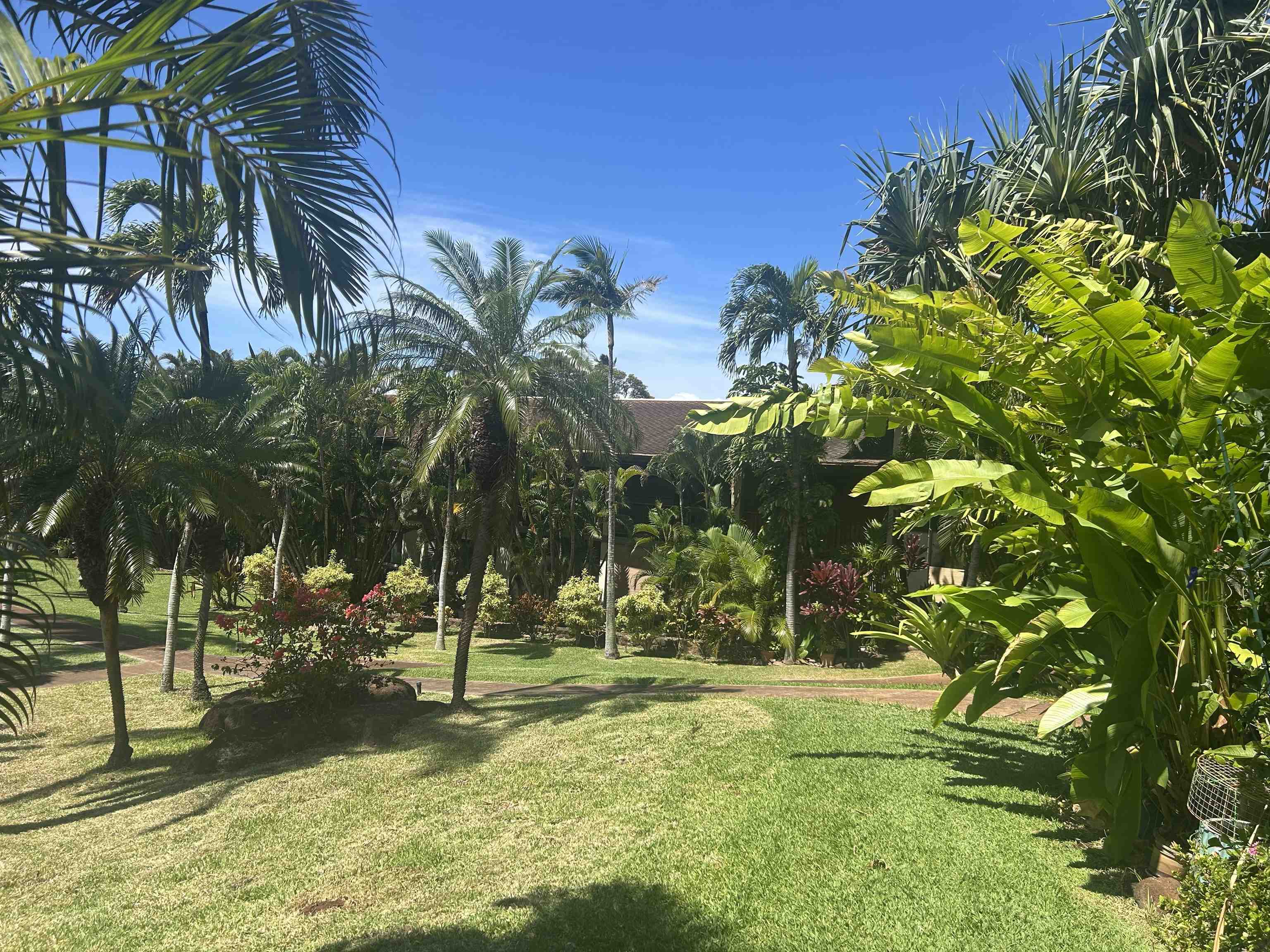 3788 Lower Honoapiilani Rd Property Photo 7