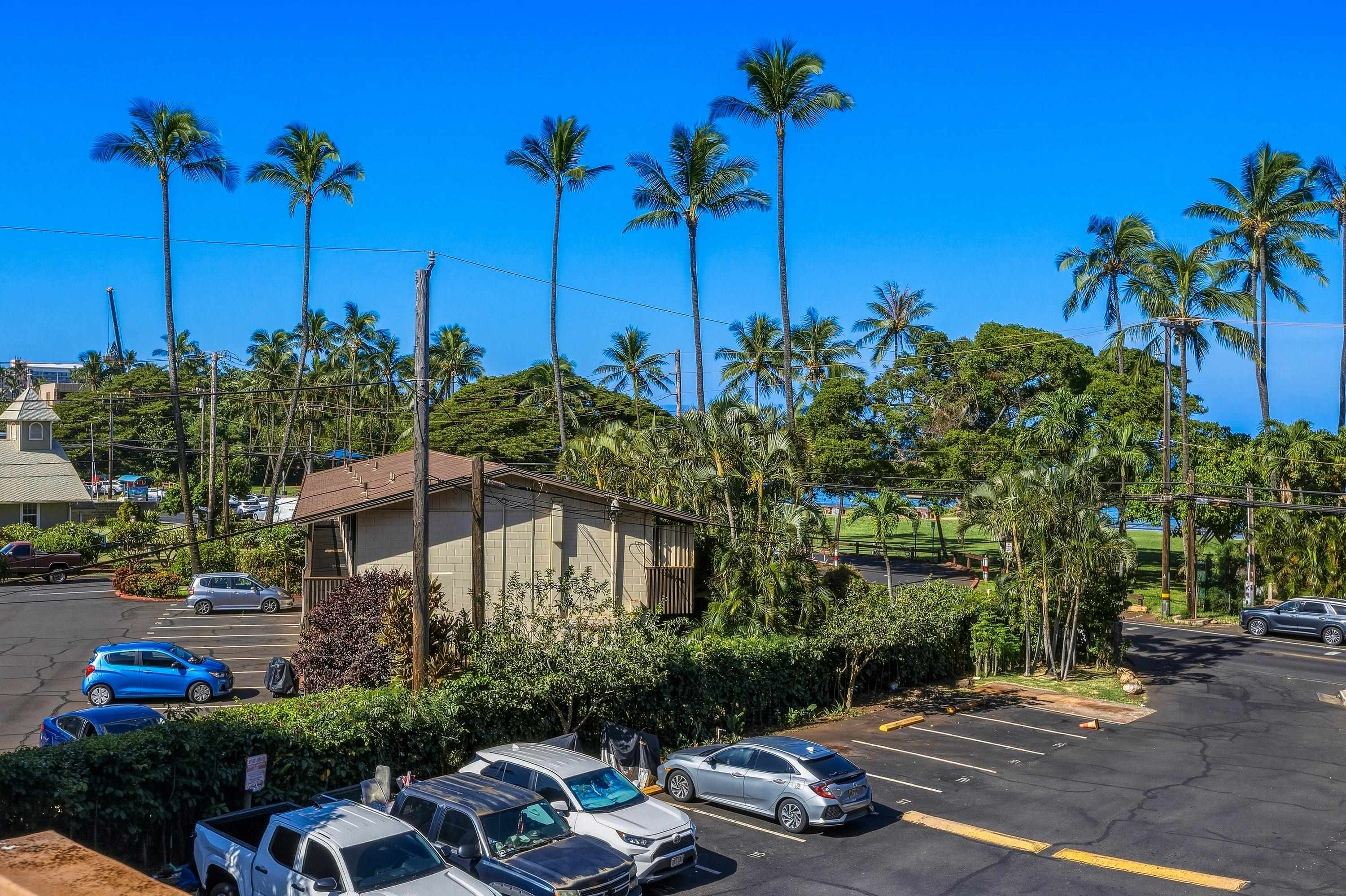 3676 Lower Honoapiilani Rd Property Photo 28