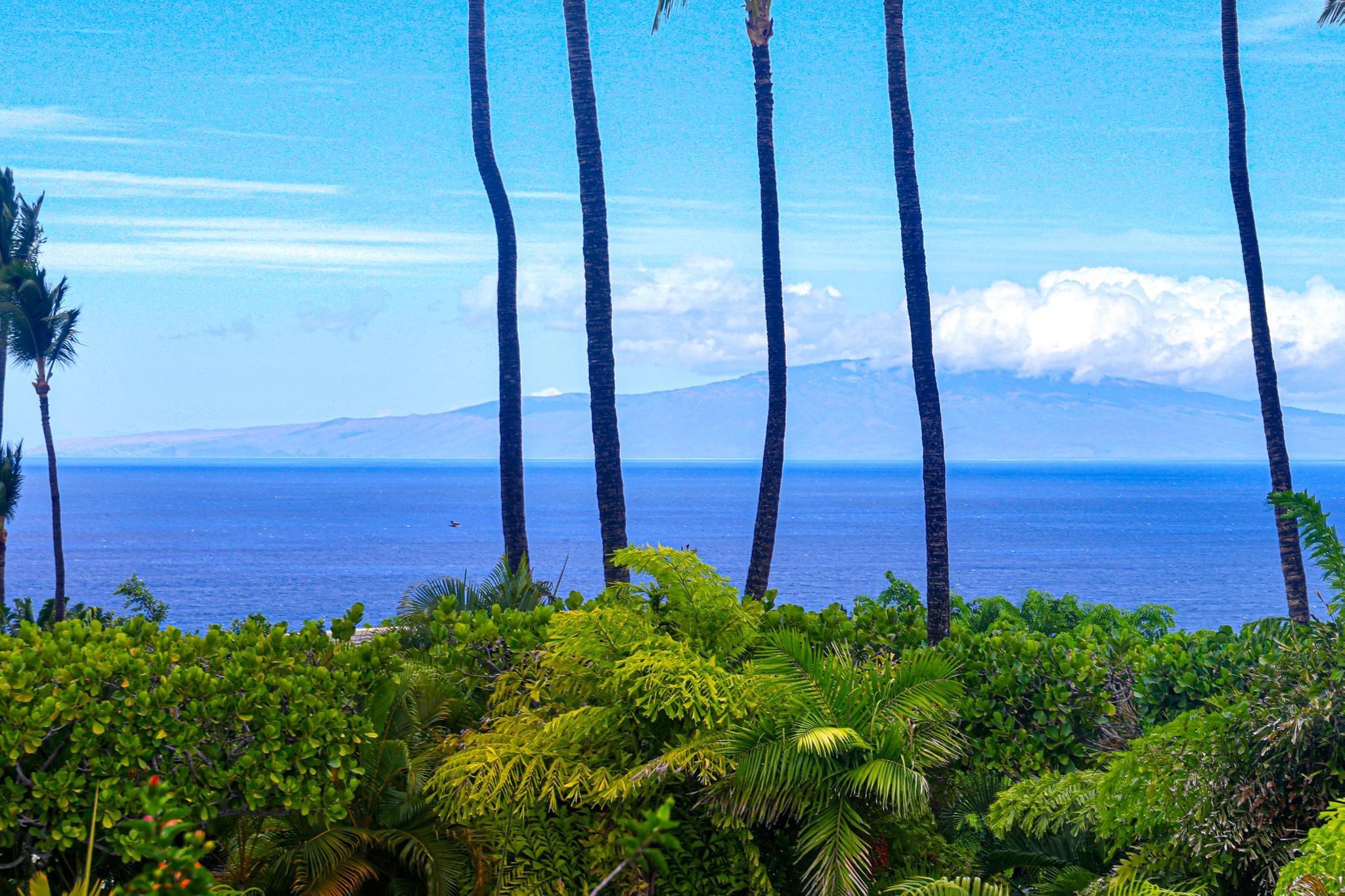 10 Wailea Ekolu Pl Property Photo 9