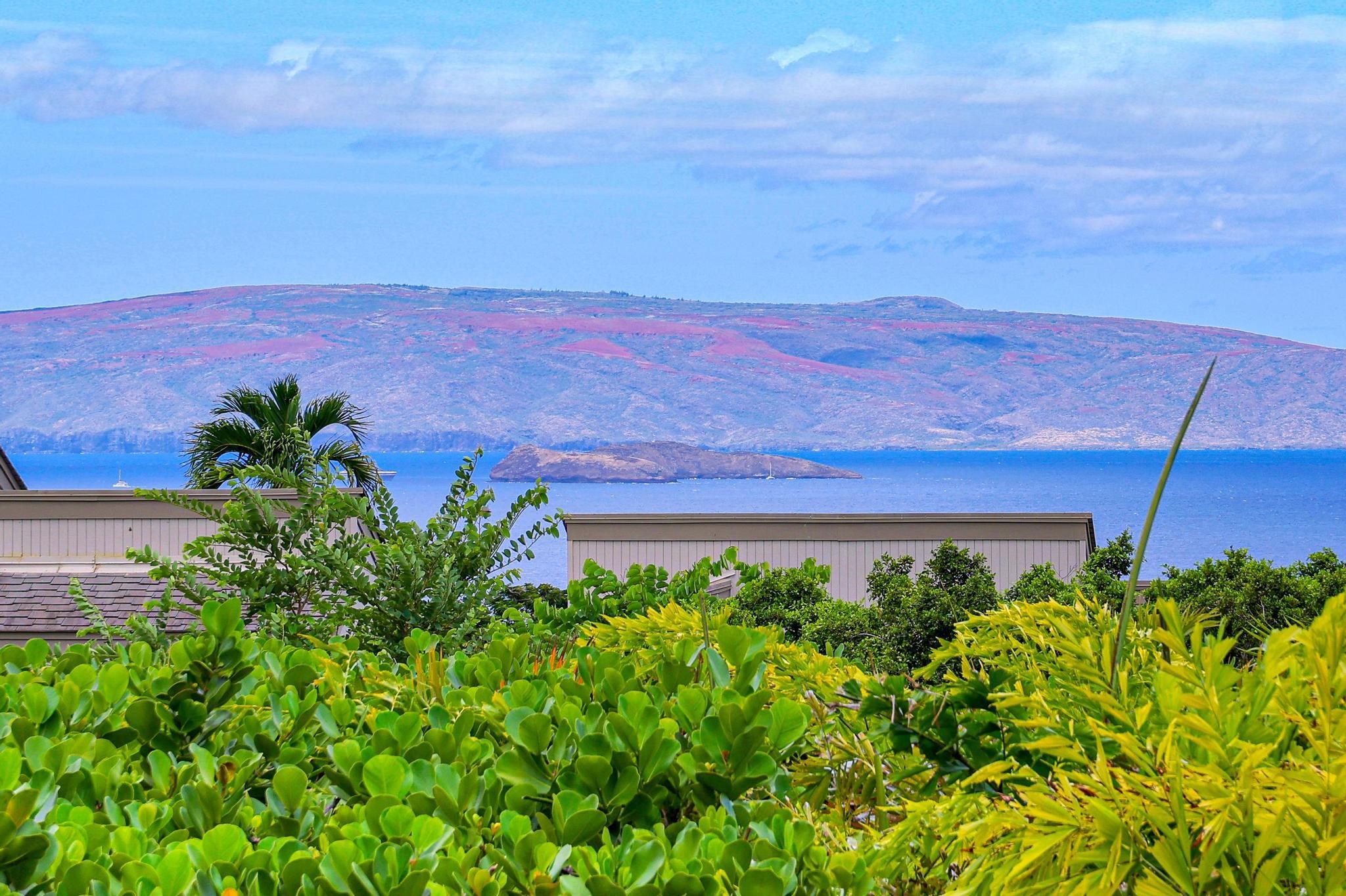 10 Wailea Ekolu Pl Property Photo 22
