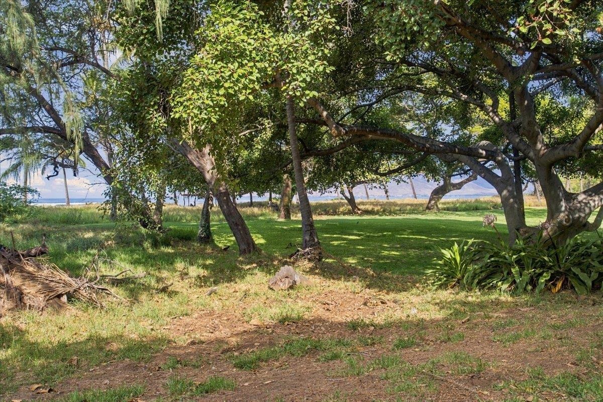 1210 Uluniu Rd Property Photo 26