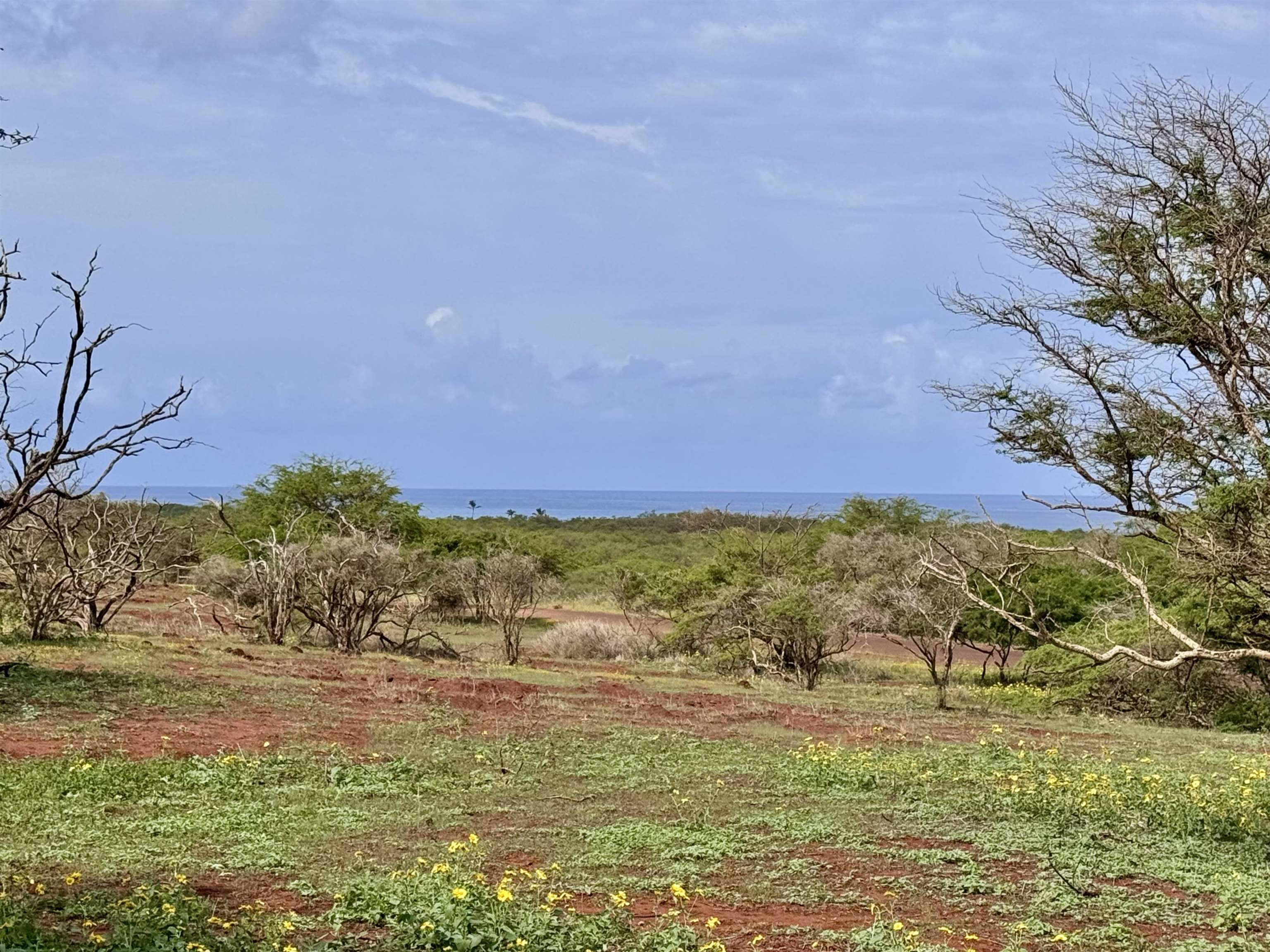 0 Pa Loa Loop Property Photo 1