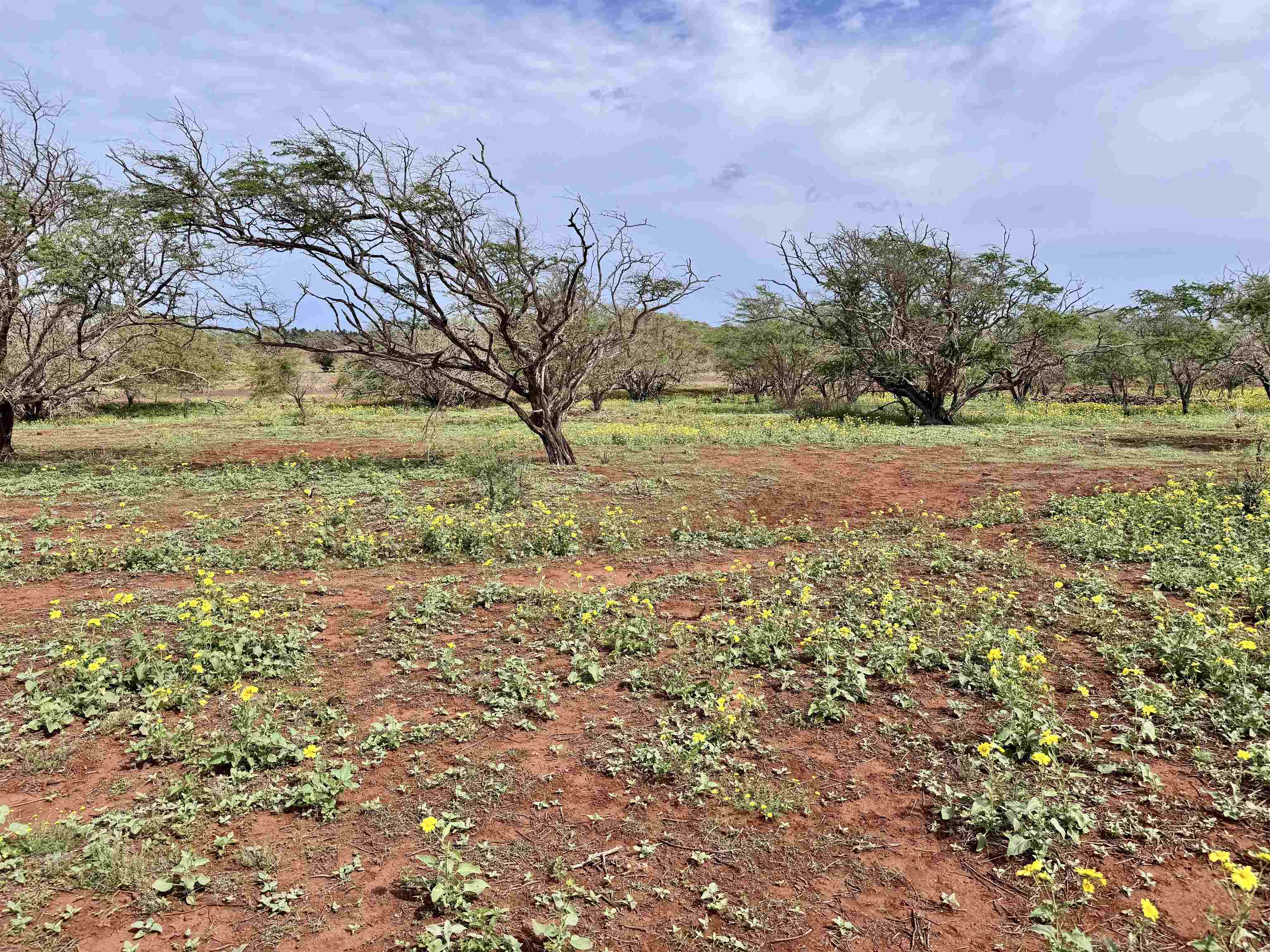 0 Pa Loa Loop Property Photo 3