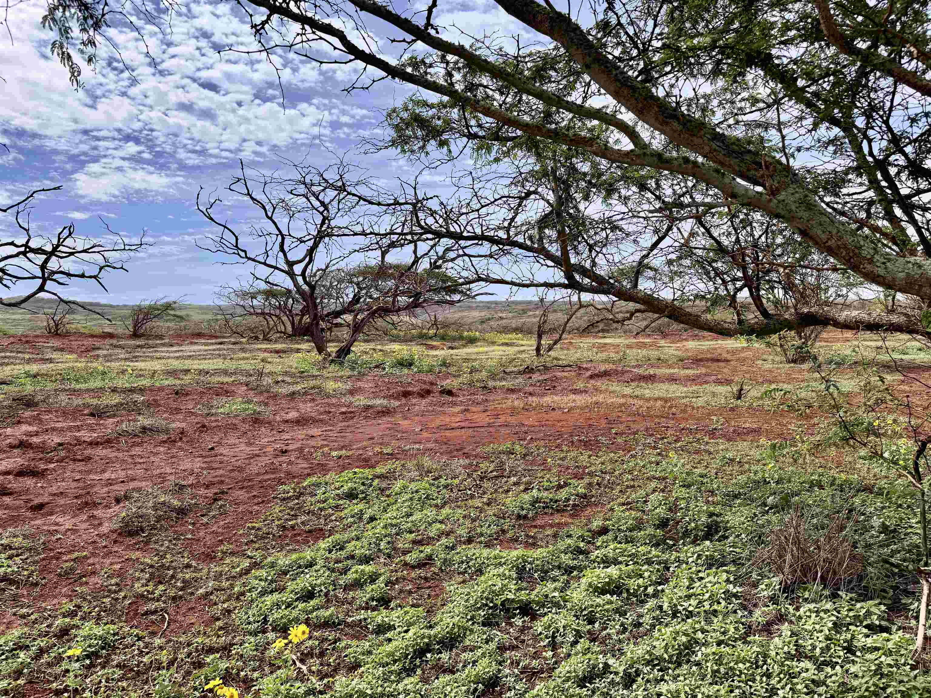 0 Pa Loa Loop Property Photo 4