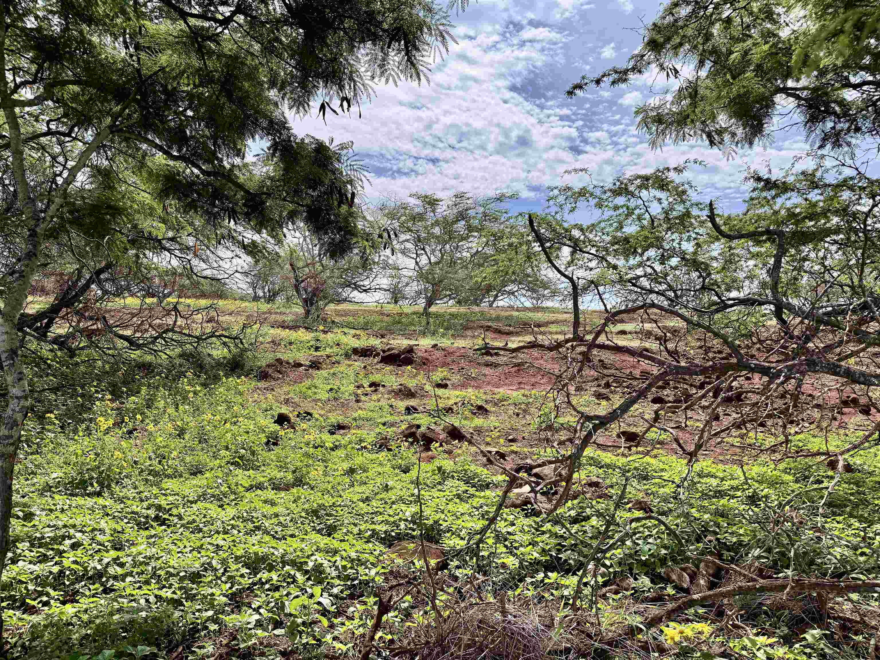 0 Pa Loa Loop Property Photo 5