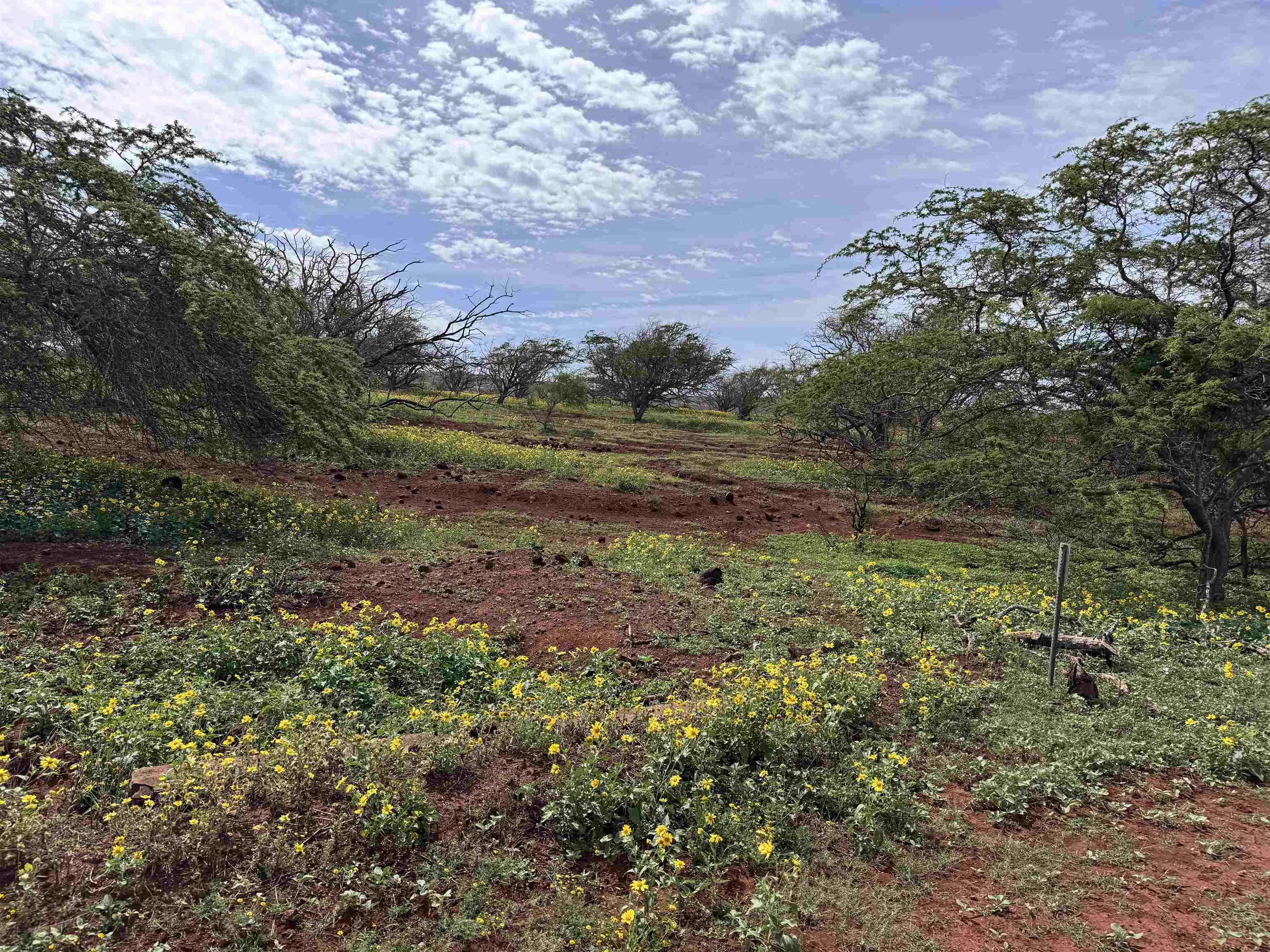 0 Pa Loa Loop Property Photo 6