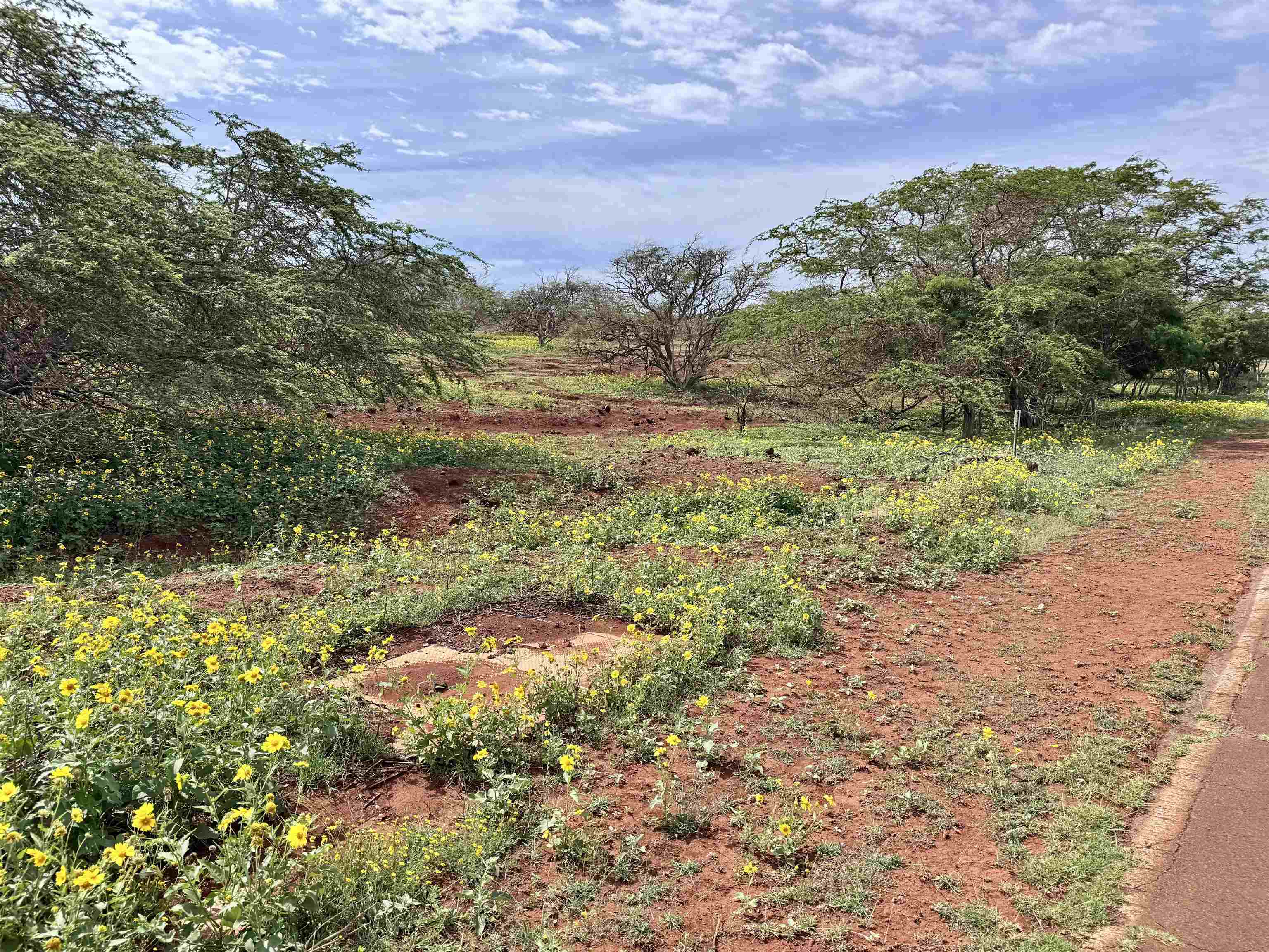 0 Pa Loa Loop Property Photo 7