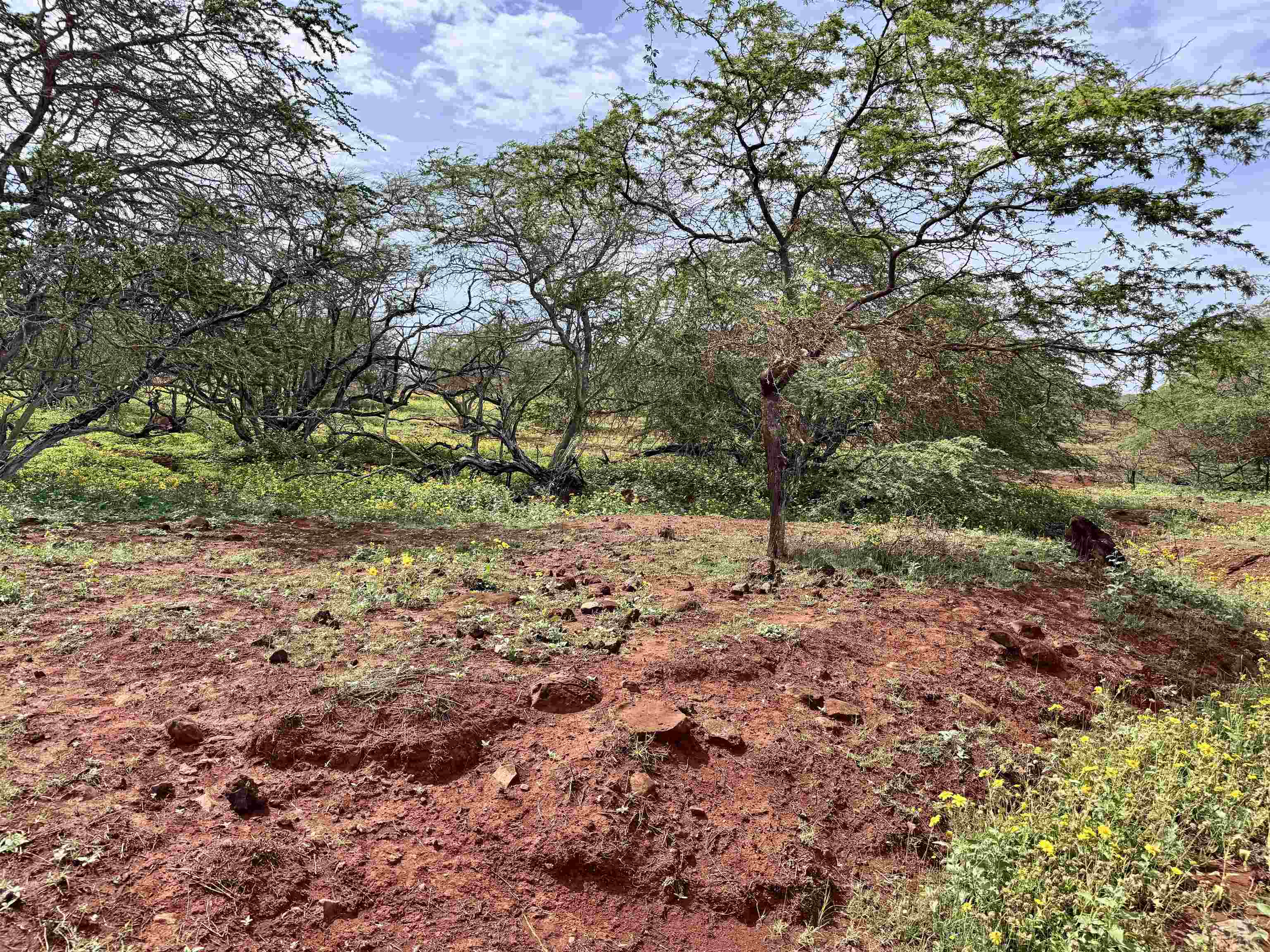 0 Pa Loa Loop Property Photo 9