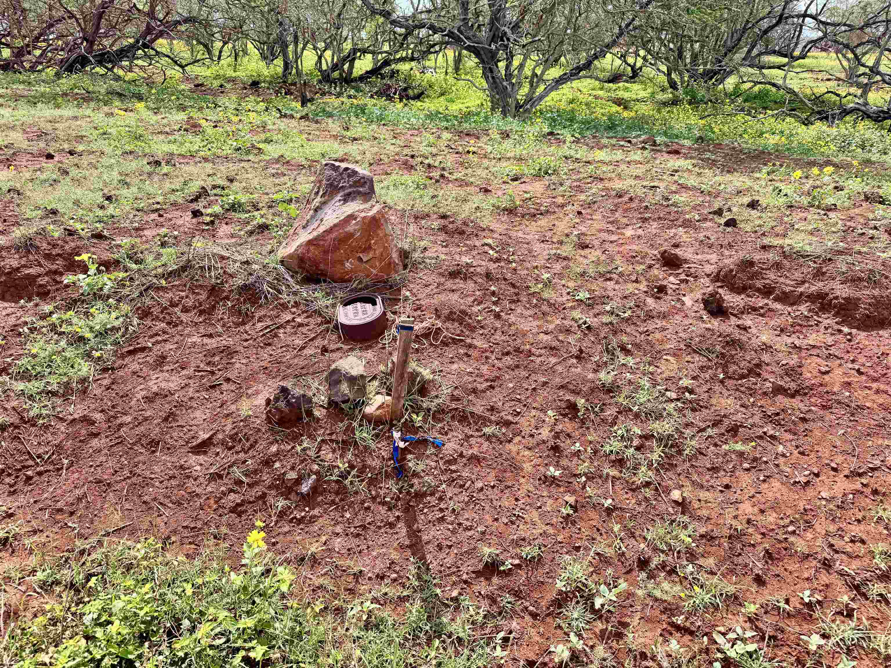0 Pa Loa Loop Property Photo 10