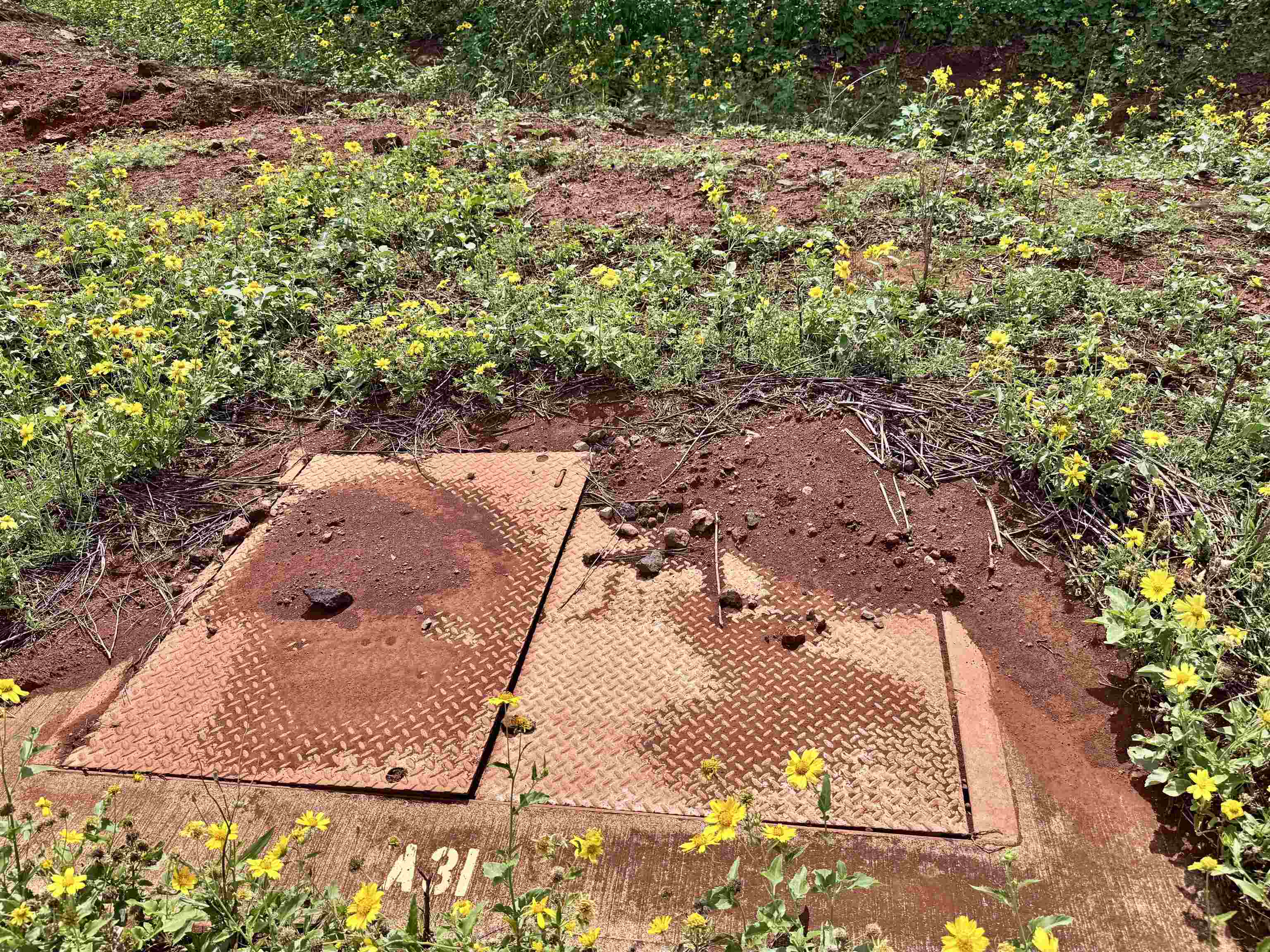 0 Pa Loa Loop Property Photo 11