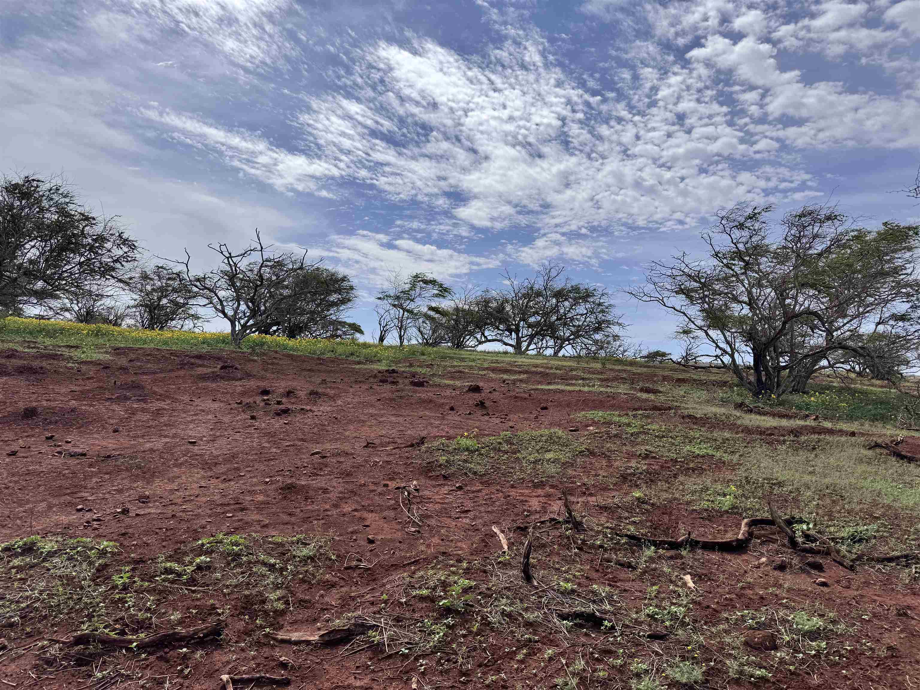 0 Pa Loa Loop Property Photo 12