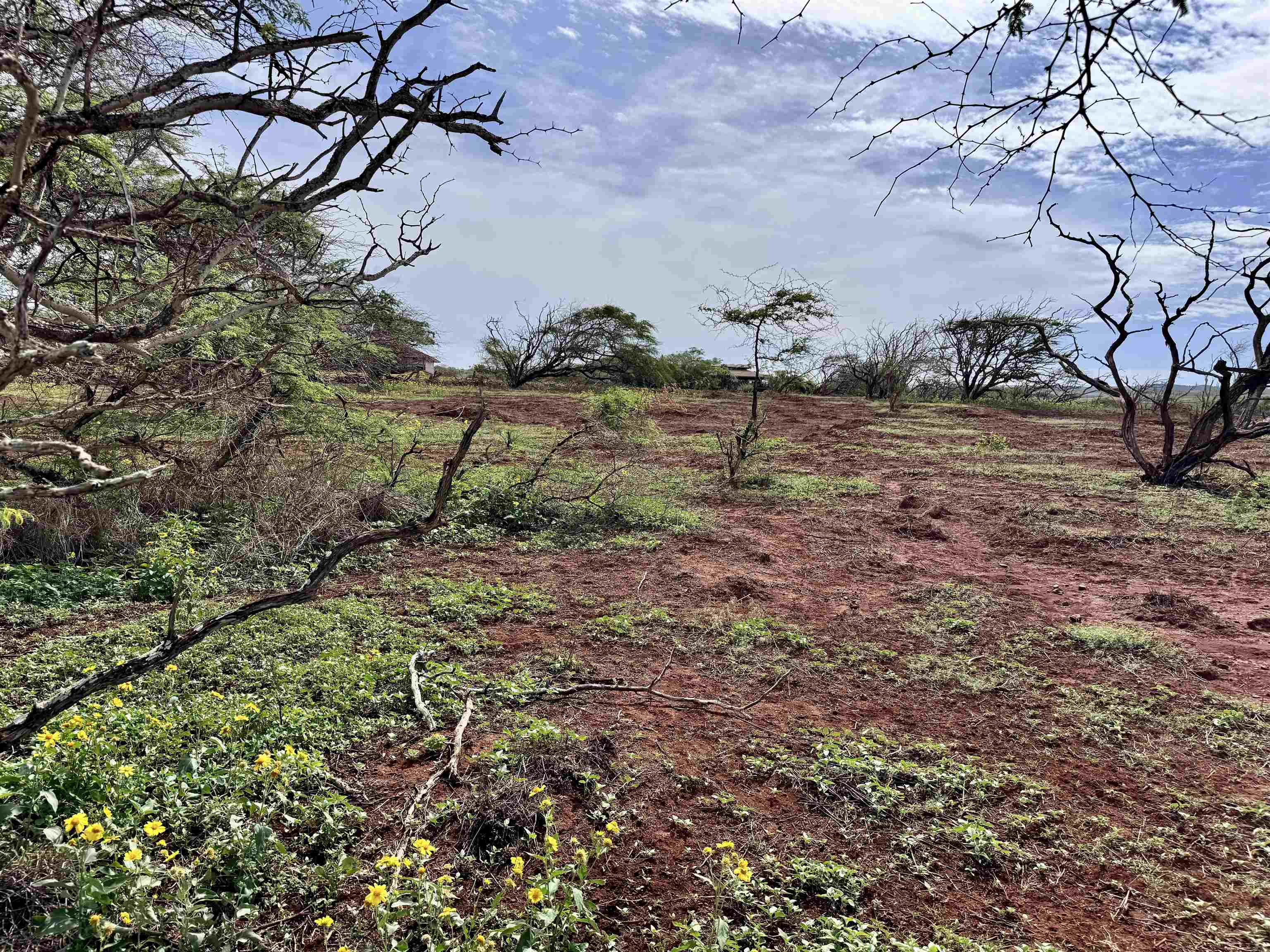 0 Pa Loa Loop Property Photo 13