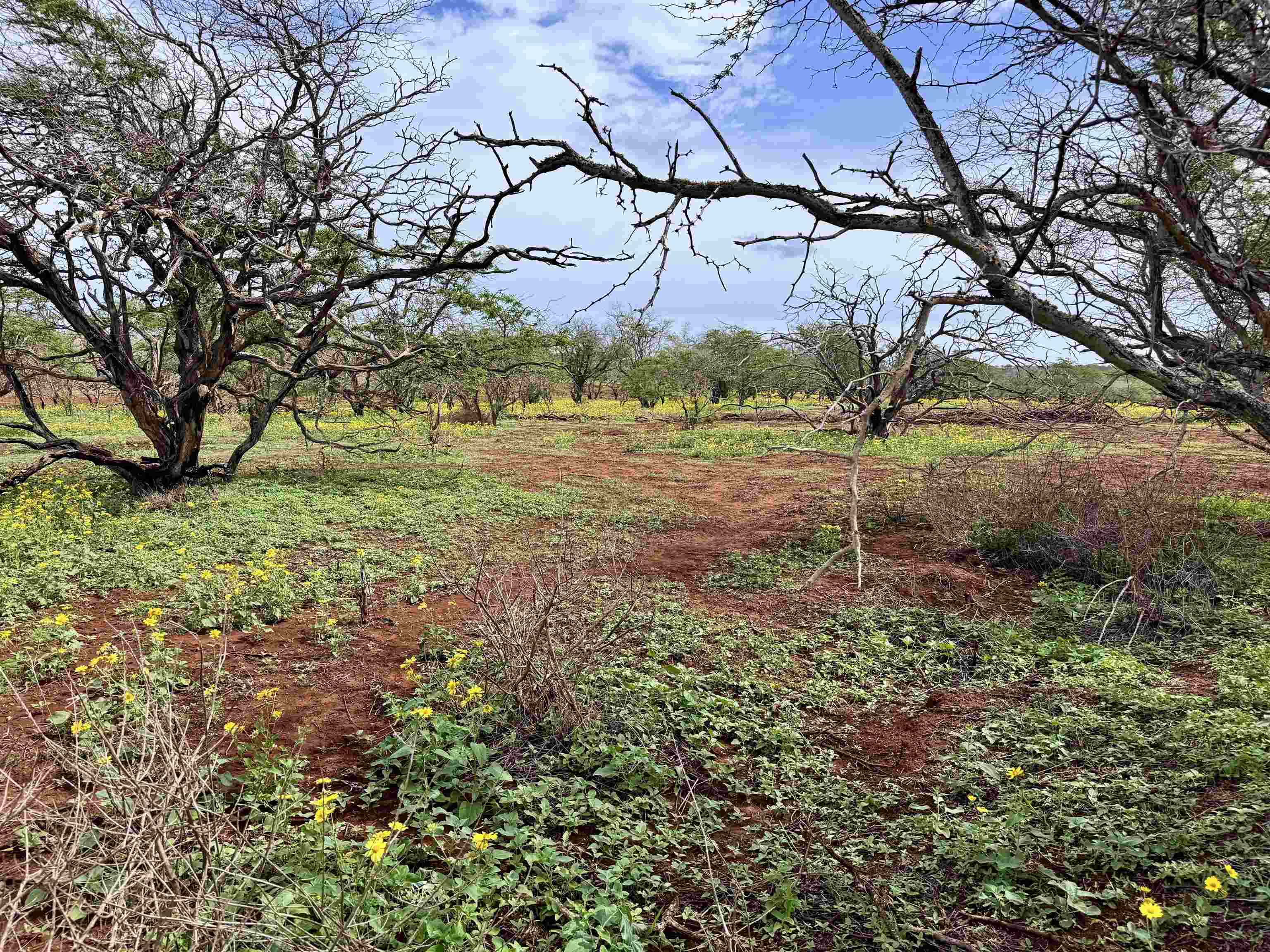 0 Pa Loa Loop Property Photo 14