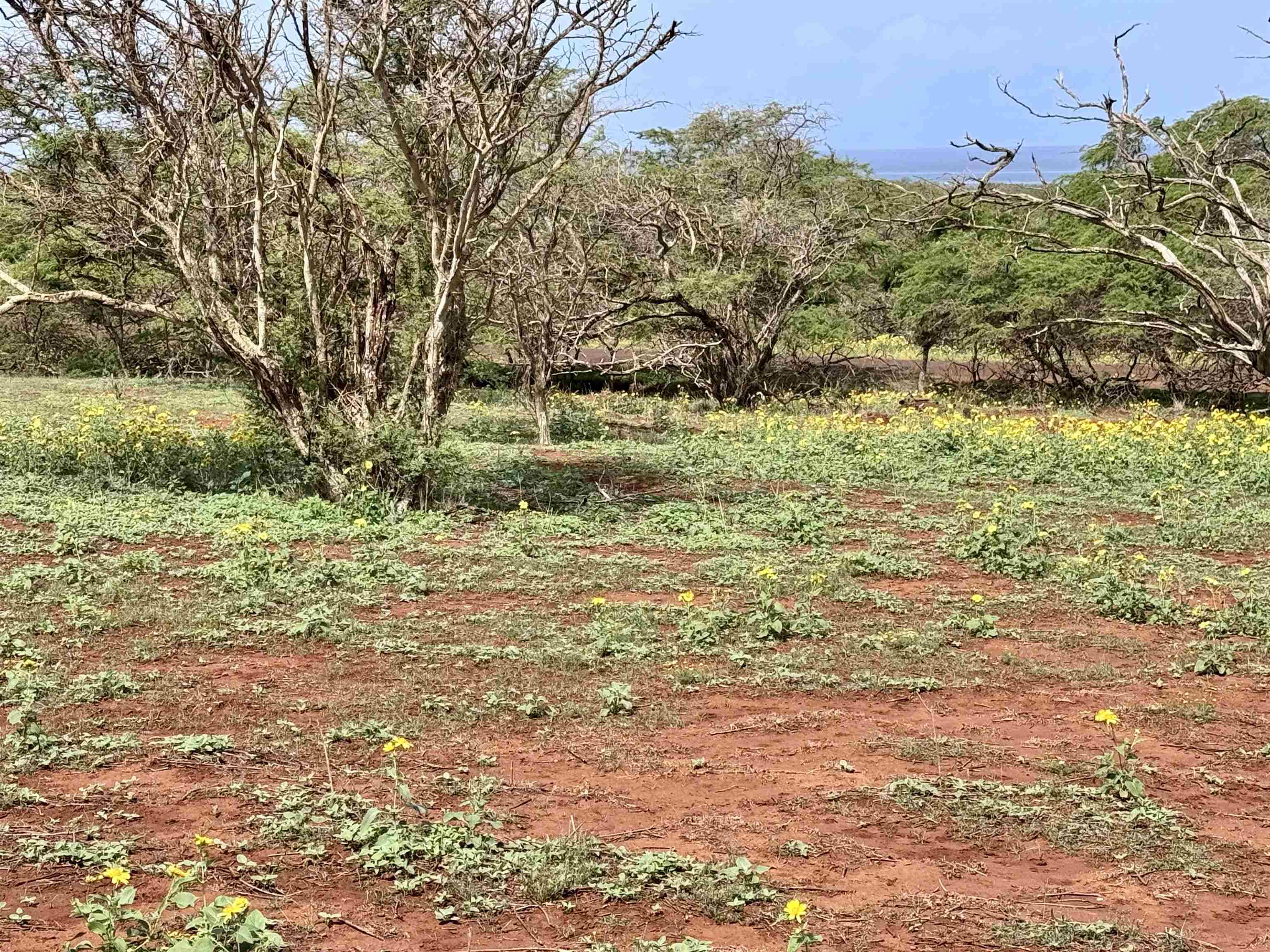 0 Pa Loa Loop Property Photo 15