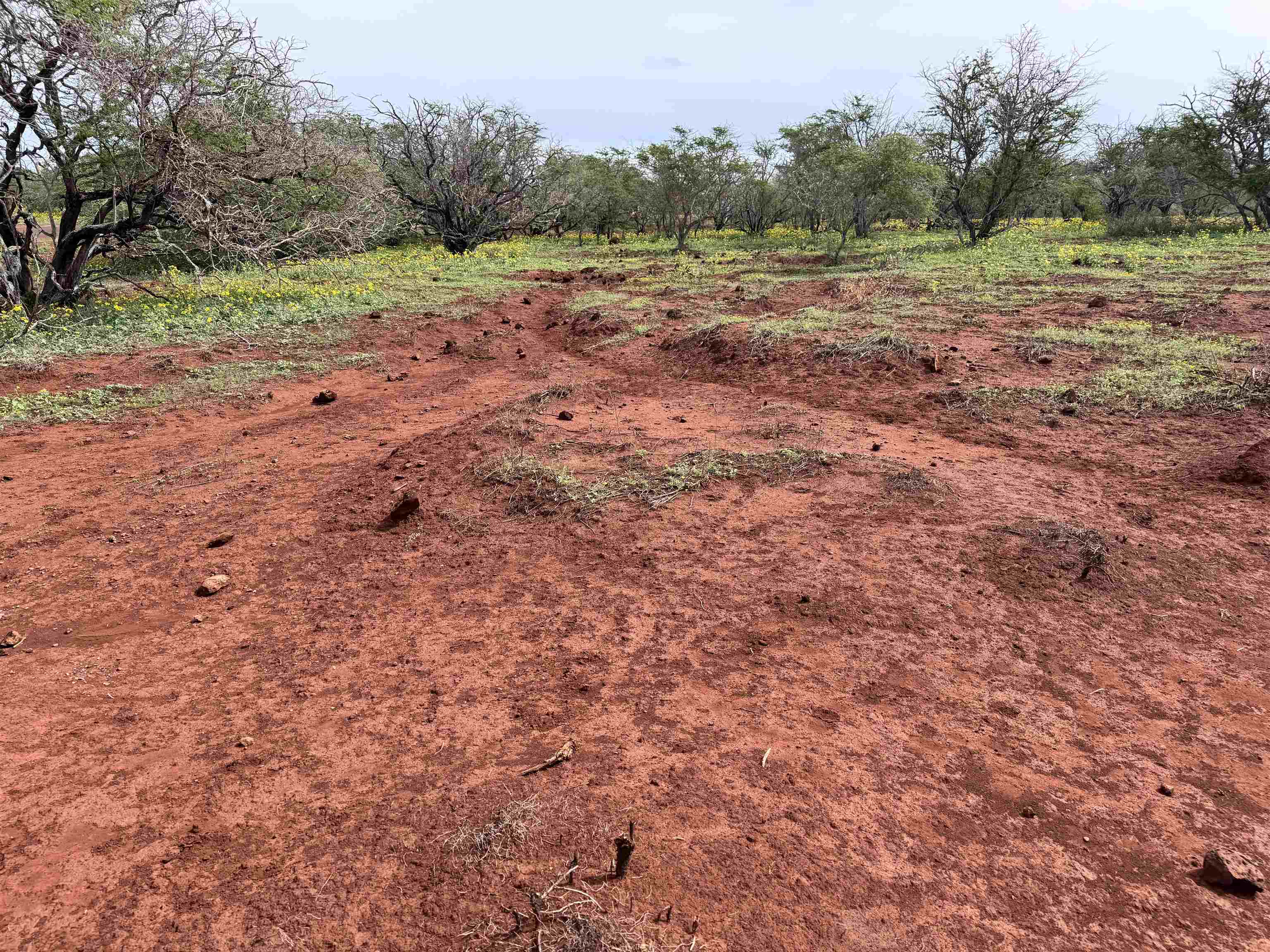 0 Pa Loa Loop Property Photo 18