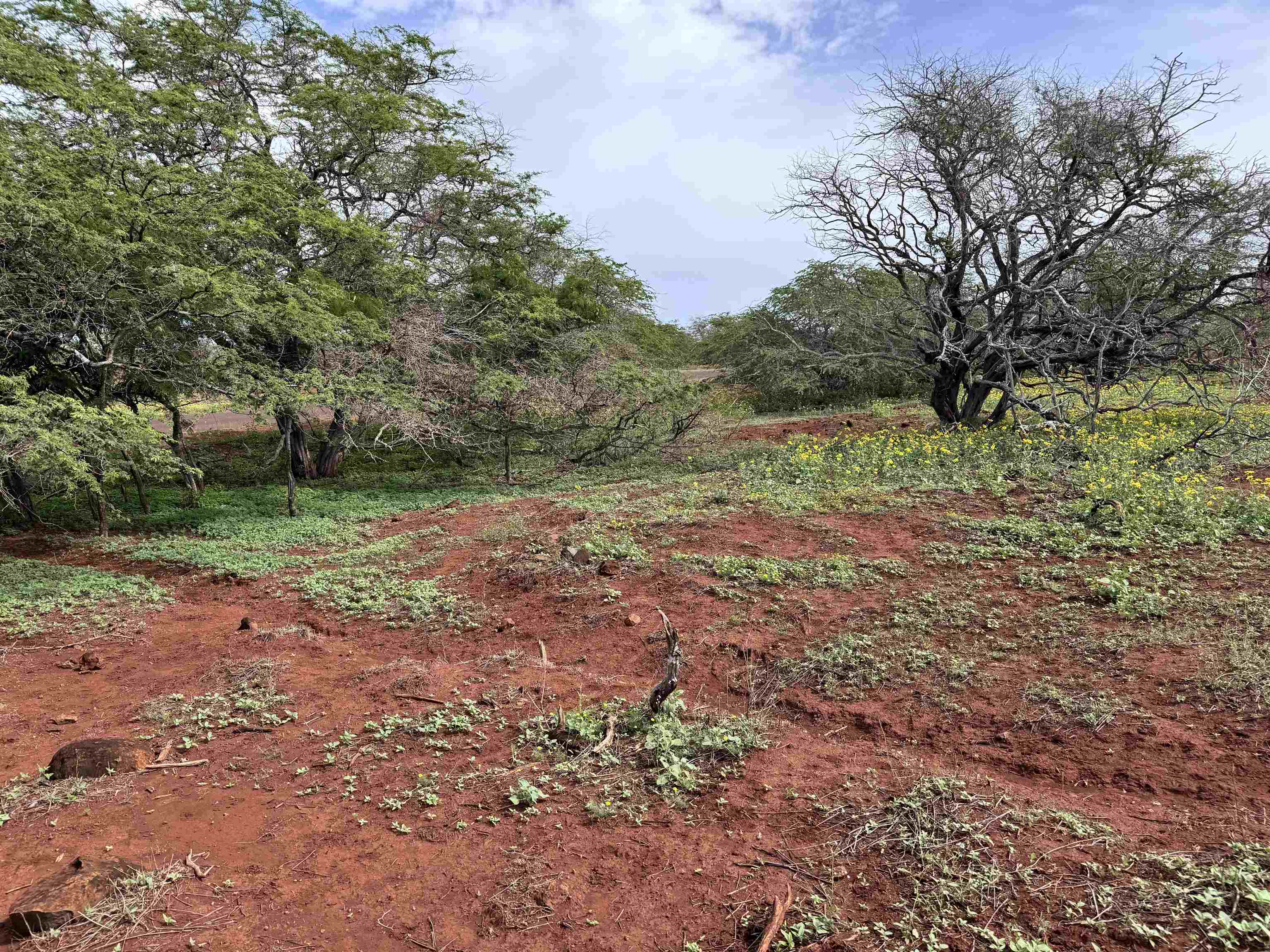 0 Pa Loa Loop Property Photo 19