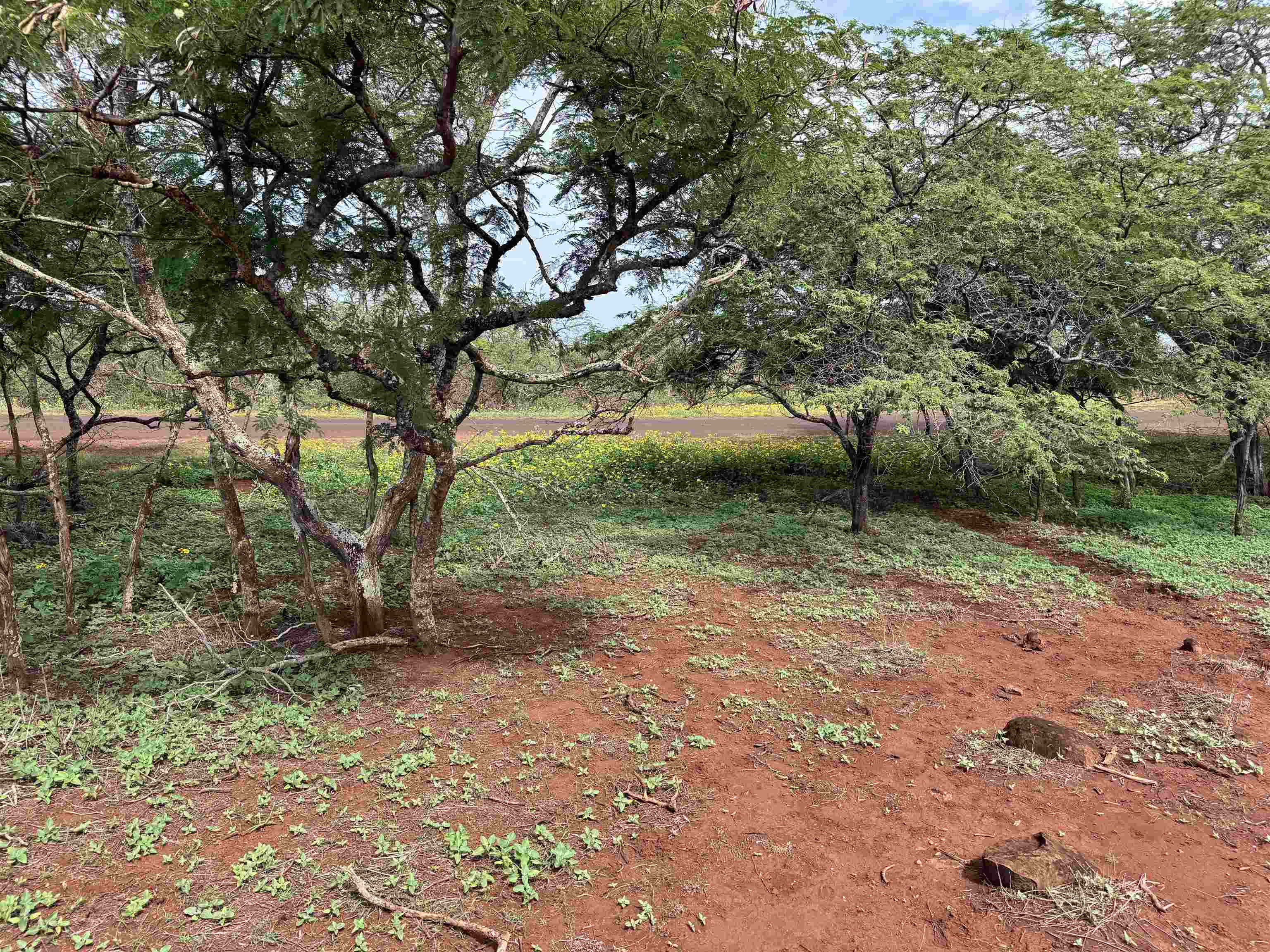 0 Pa Loa Loop Property Photo 20