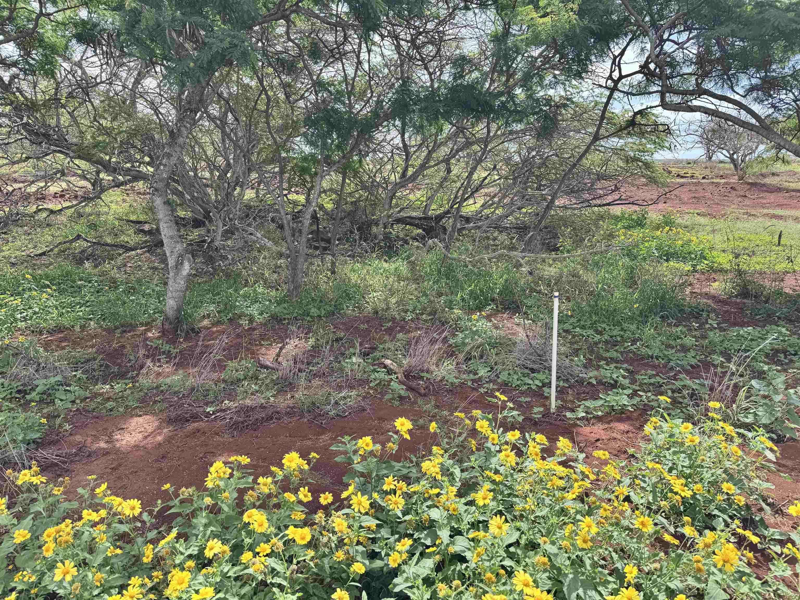 0 Pa Loa Loop Property Photo 23
