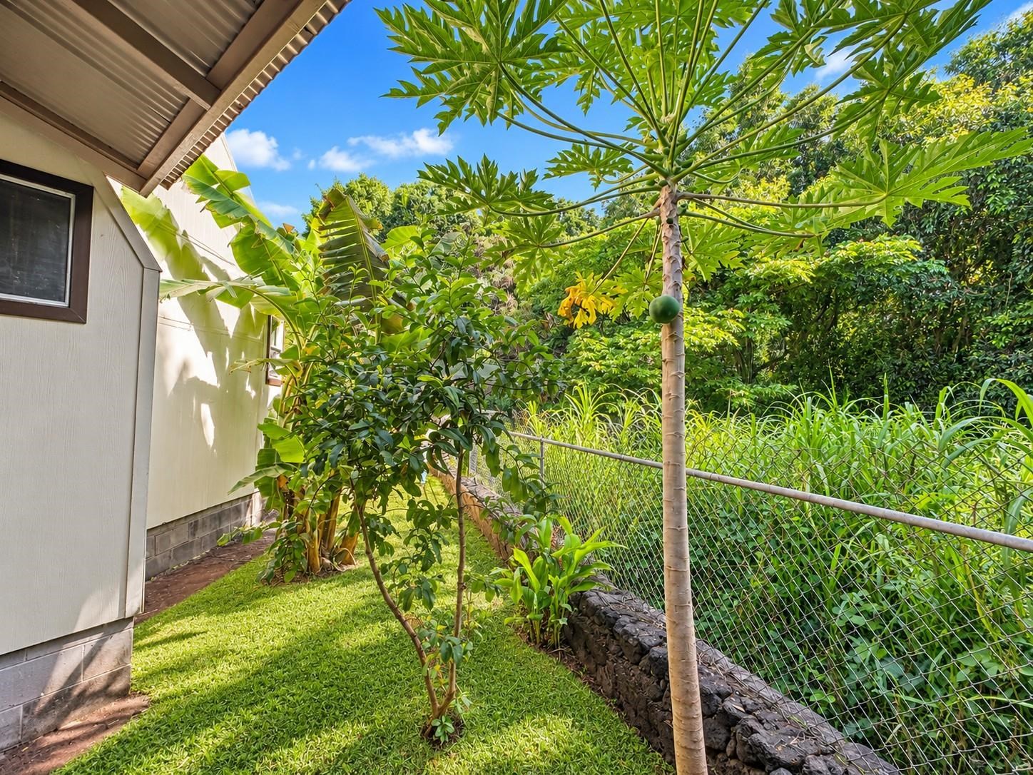 9046 Kamehameha V Hwy Property Photo 27