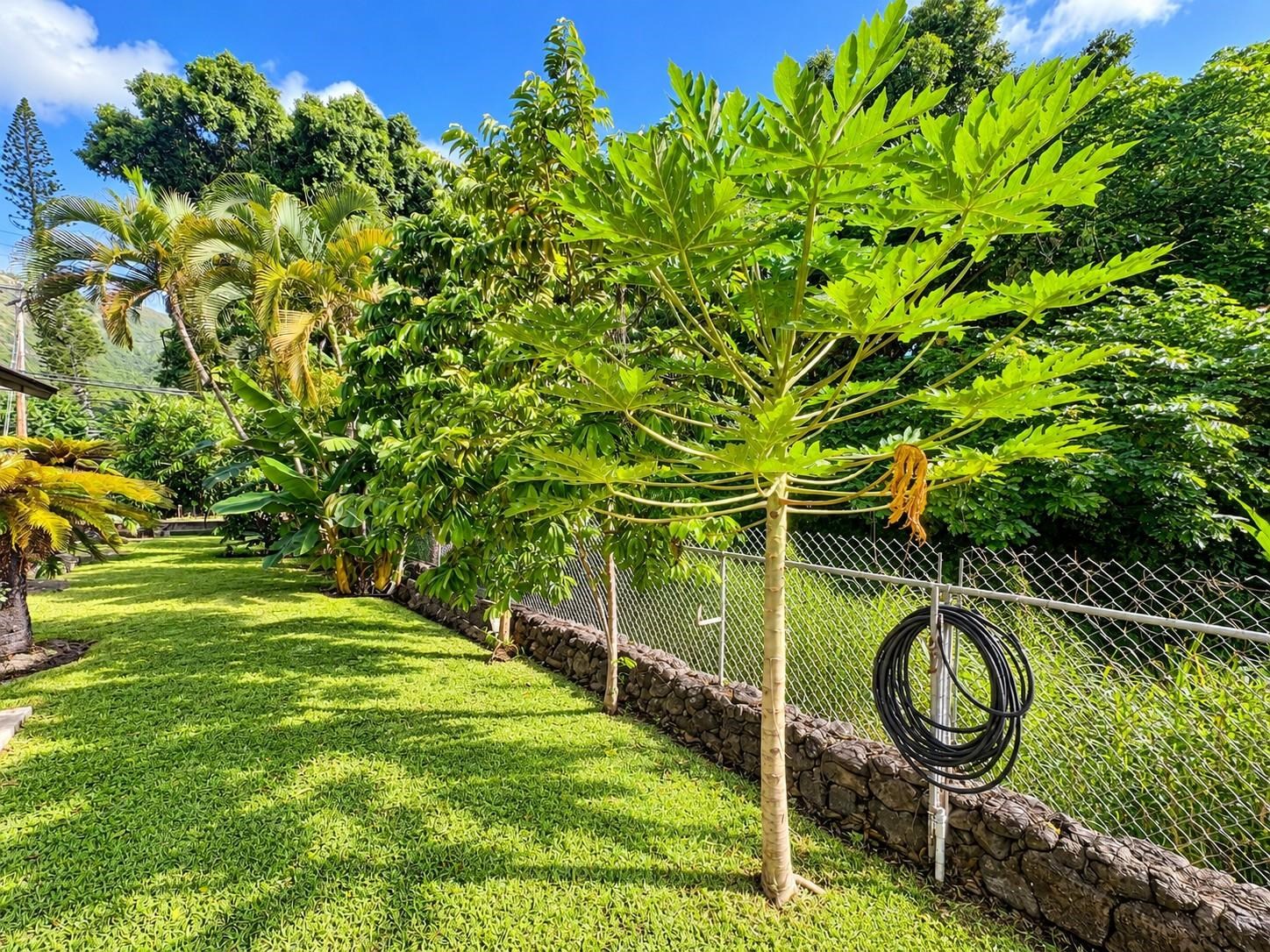 9046 Kamehameha V Hwy Property Photo 28