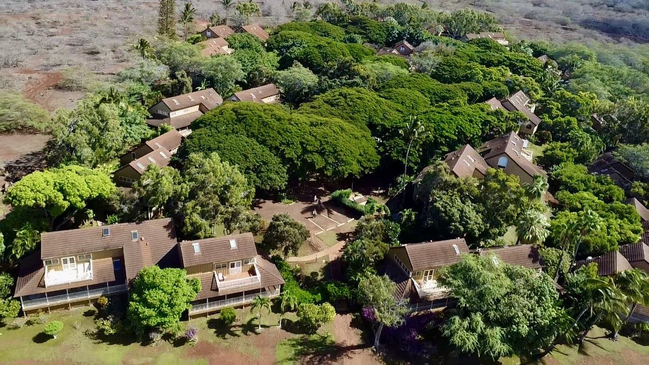 100 Lio Pl Property Photo 31