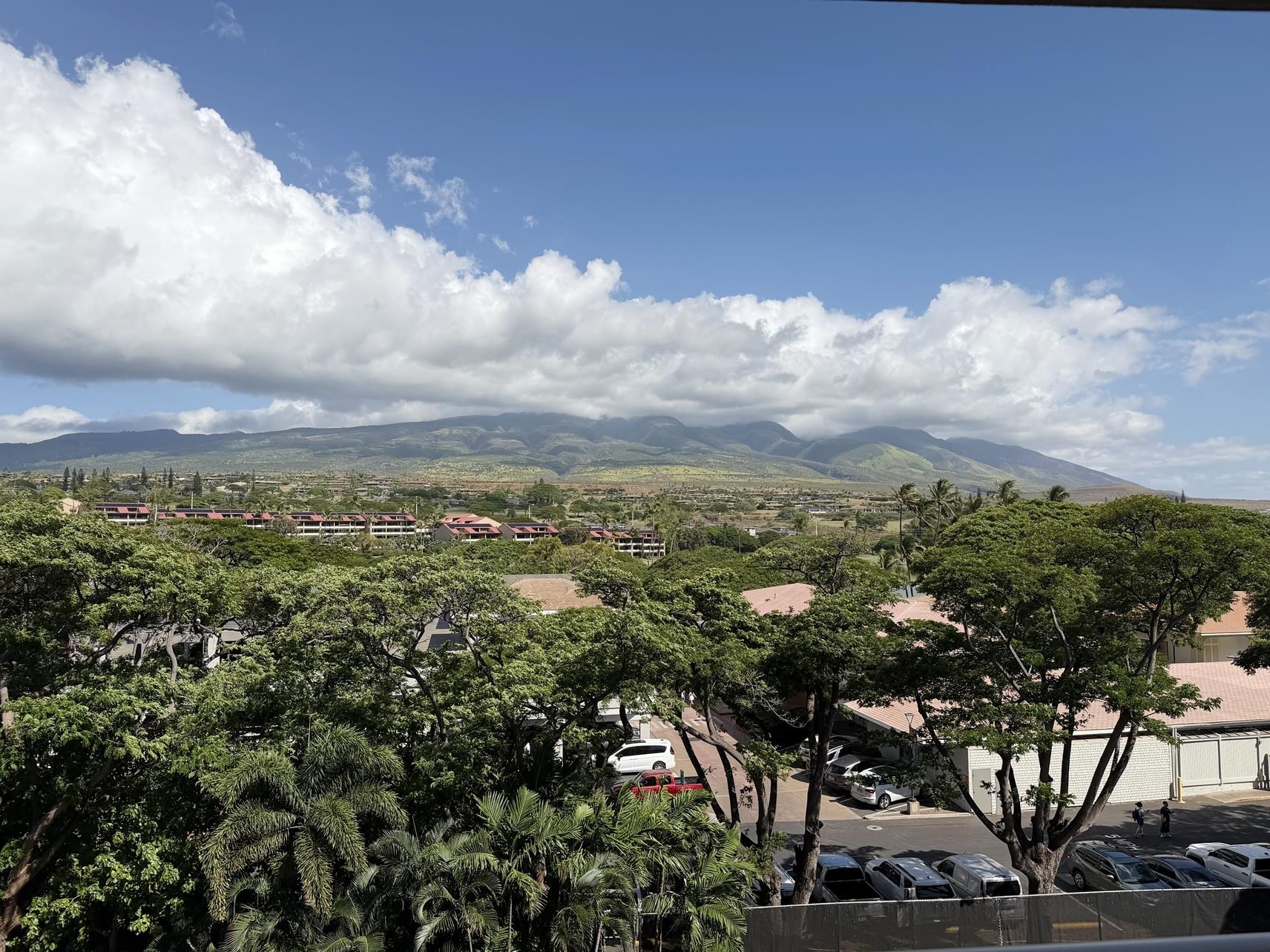2481 Kaanapali Pkwy Property Photo 31