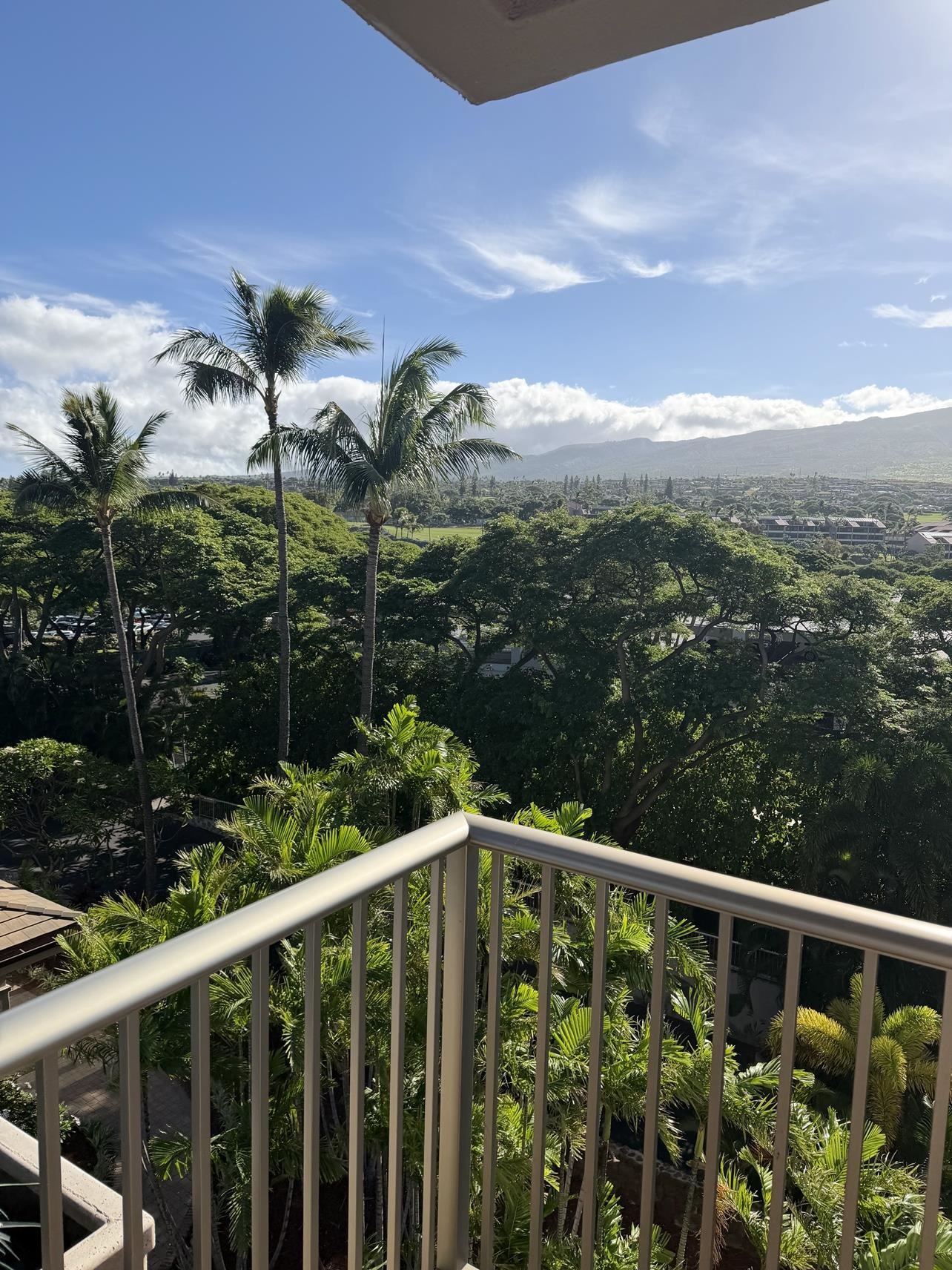 2481 Kaanapali Pkwy Property Photo 32