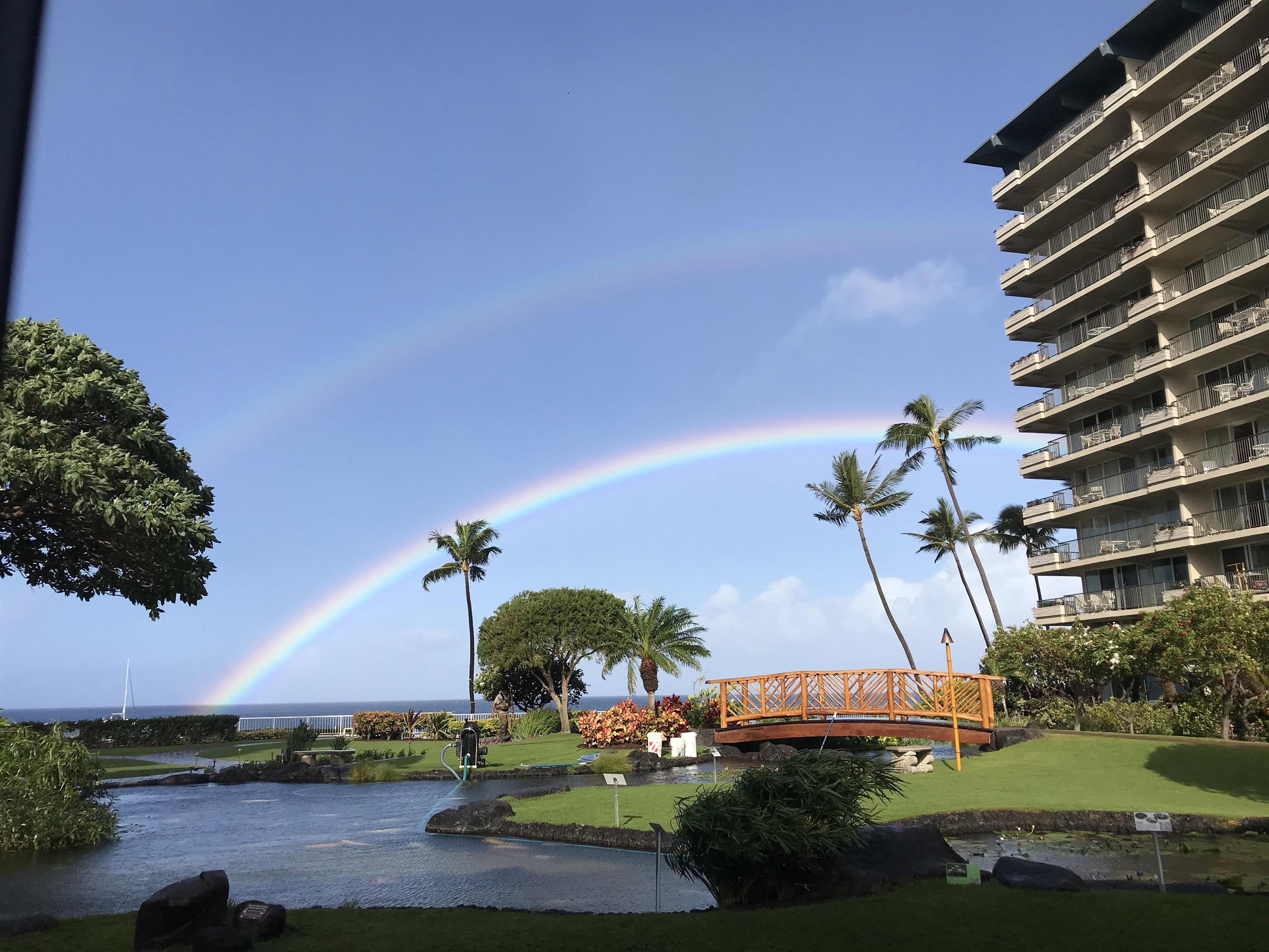2481 Kaanapali Pkwy Property Photo 44