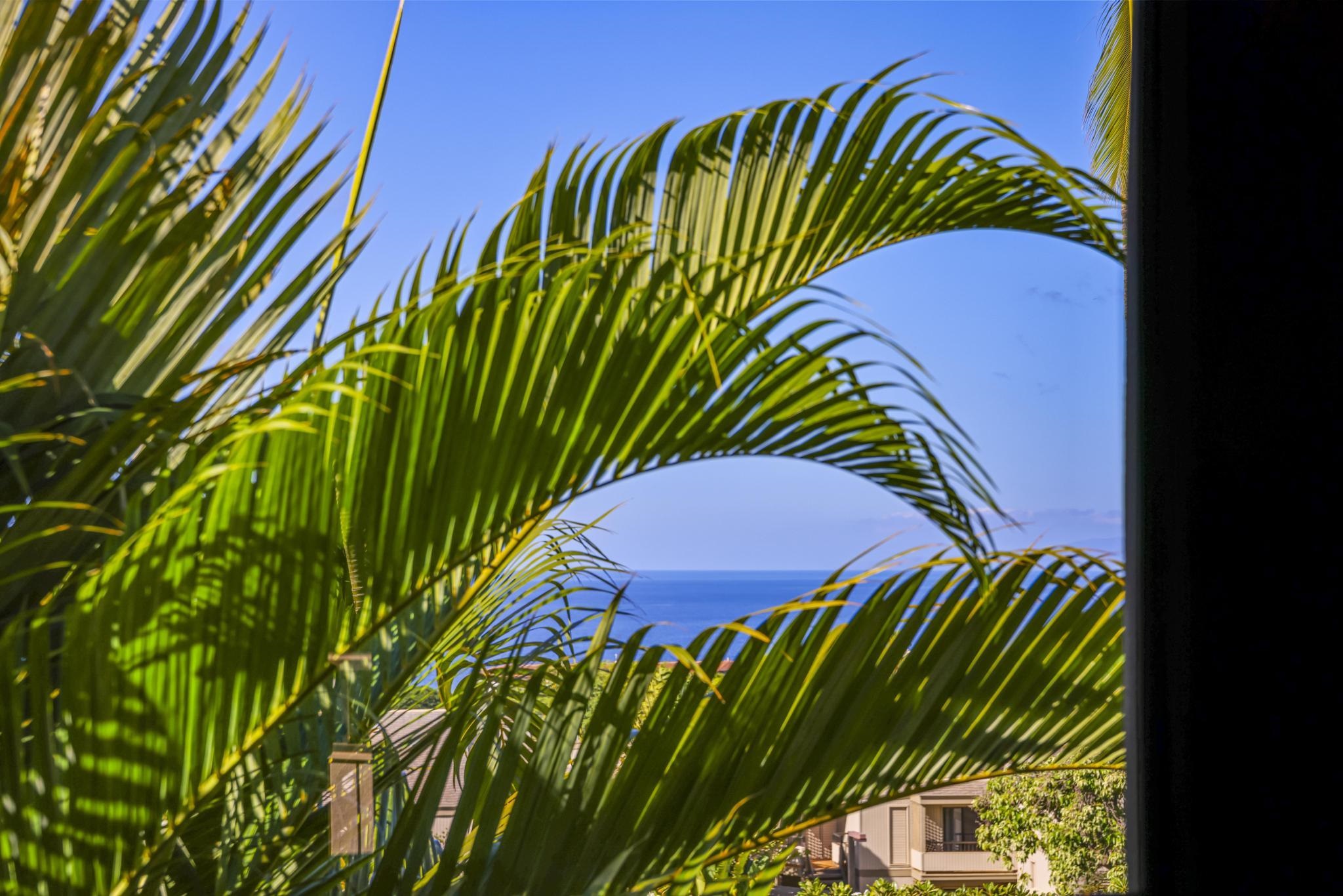 10 Wailea Ekolu Pl Property Photo 26
