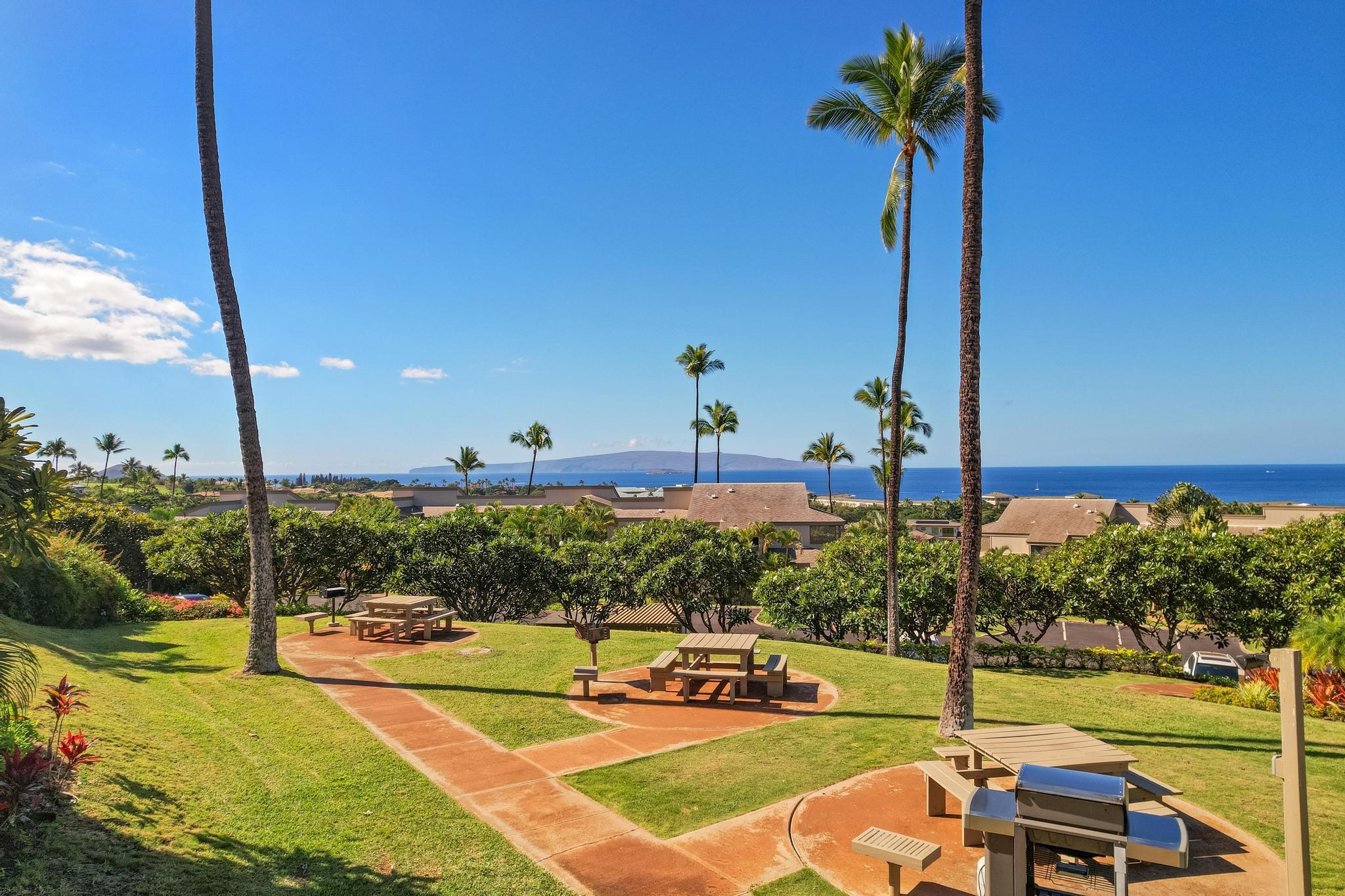 10 Wailea Ekolu Pl Property Photo 41